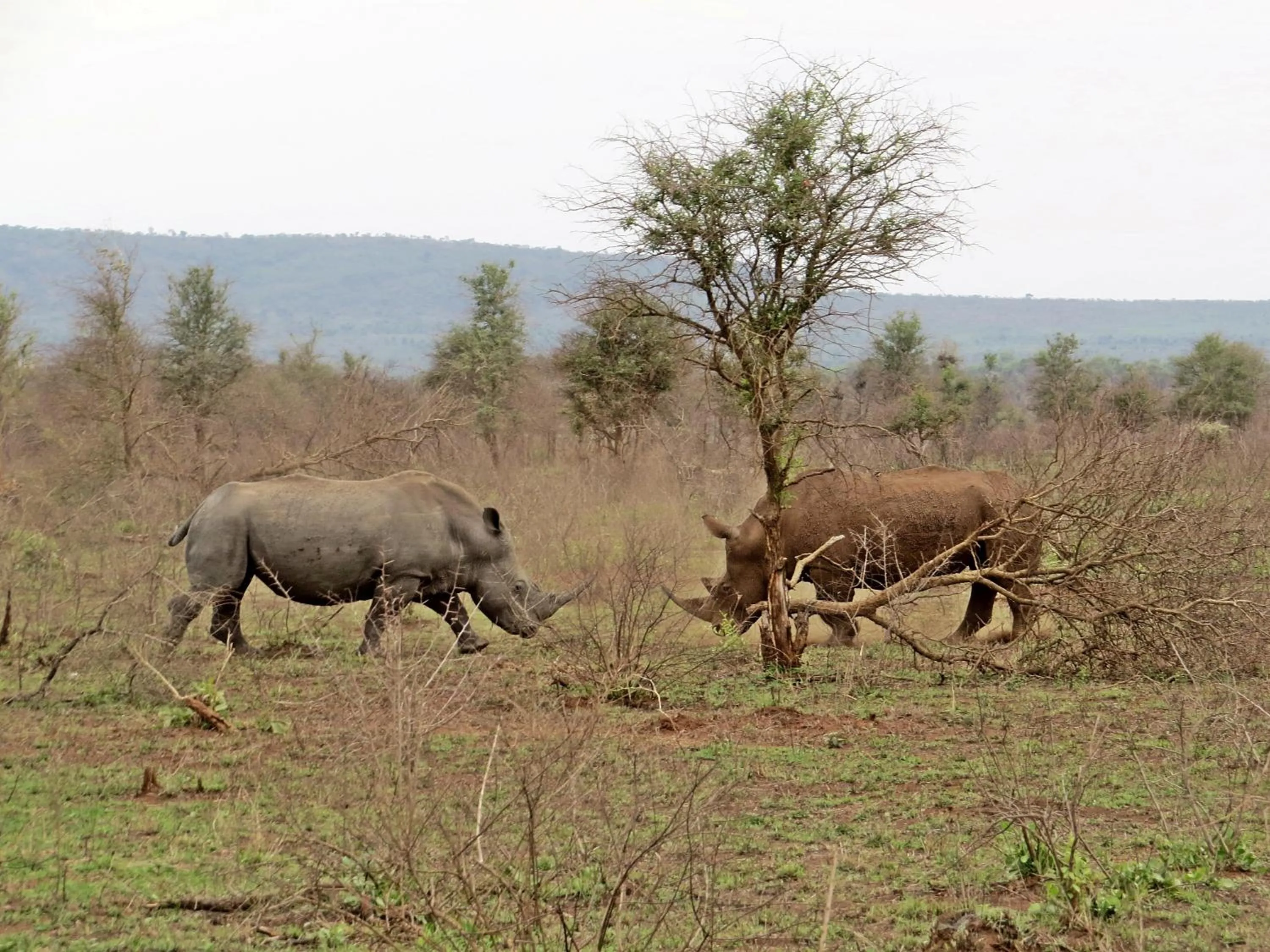 Area and facilities in Needles Lodge