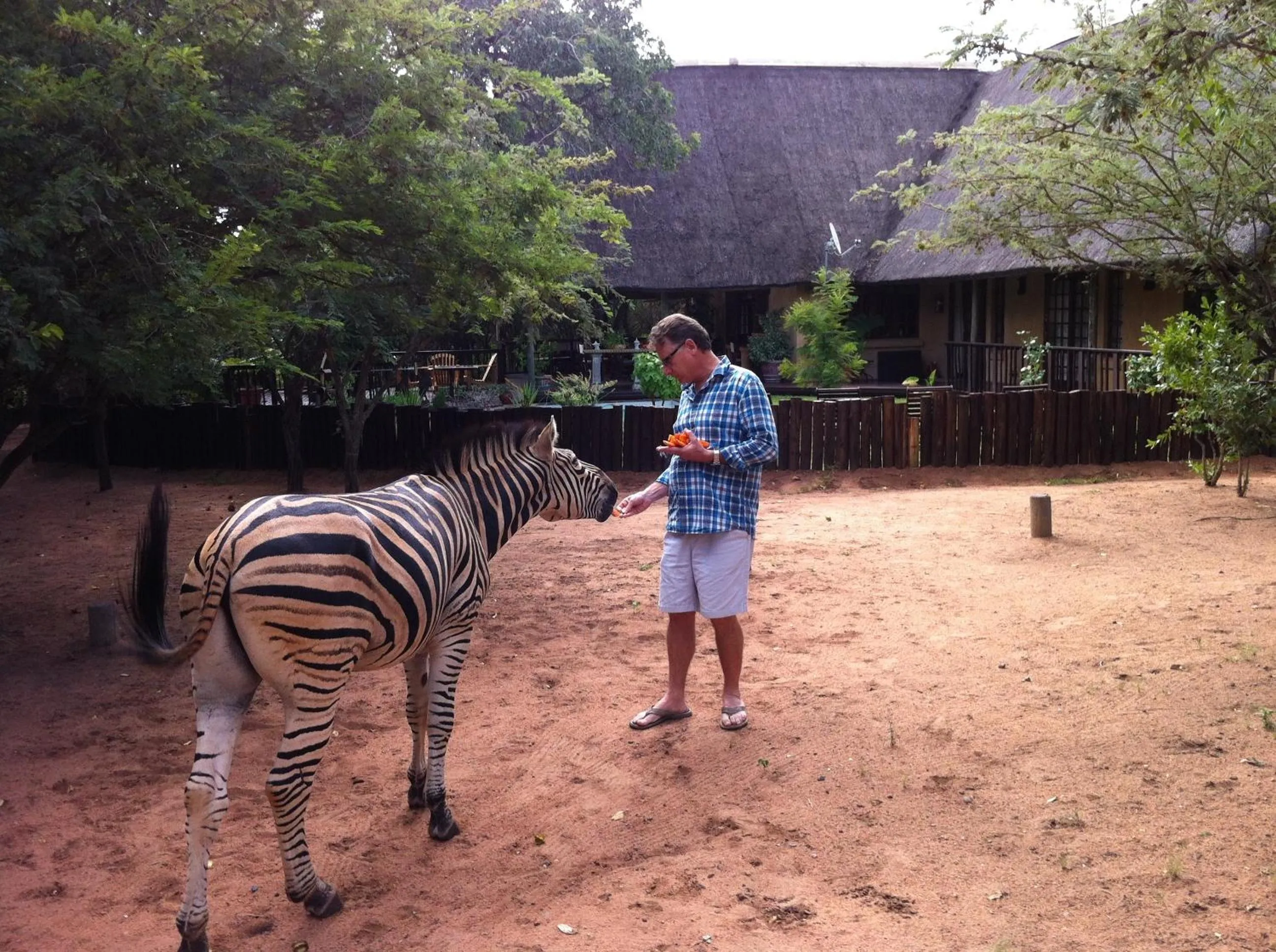 Facade/entrance in Needles Lodge