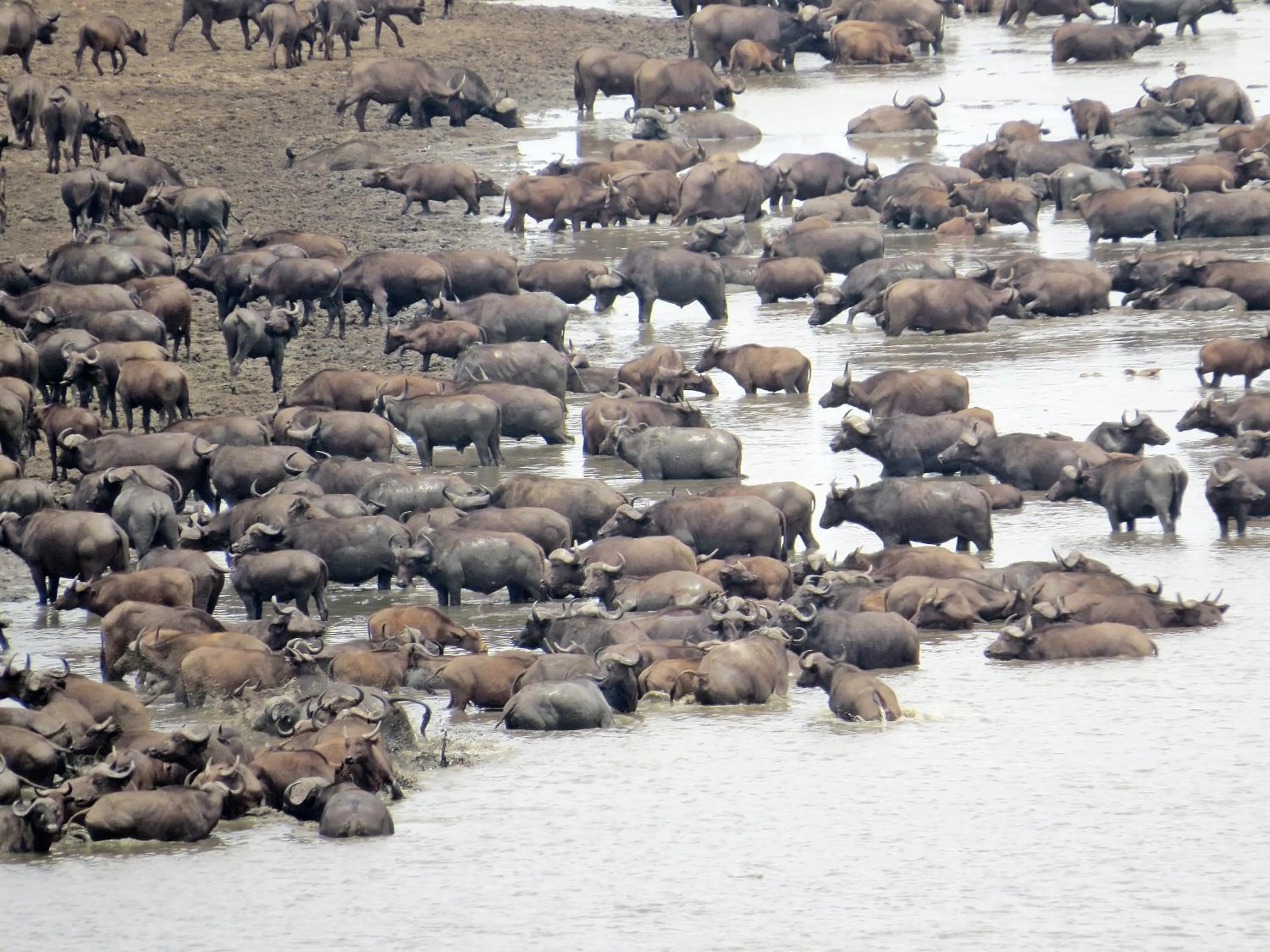 Area and facilities in Needles Lodge
