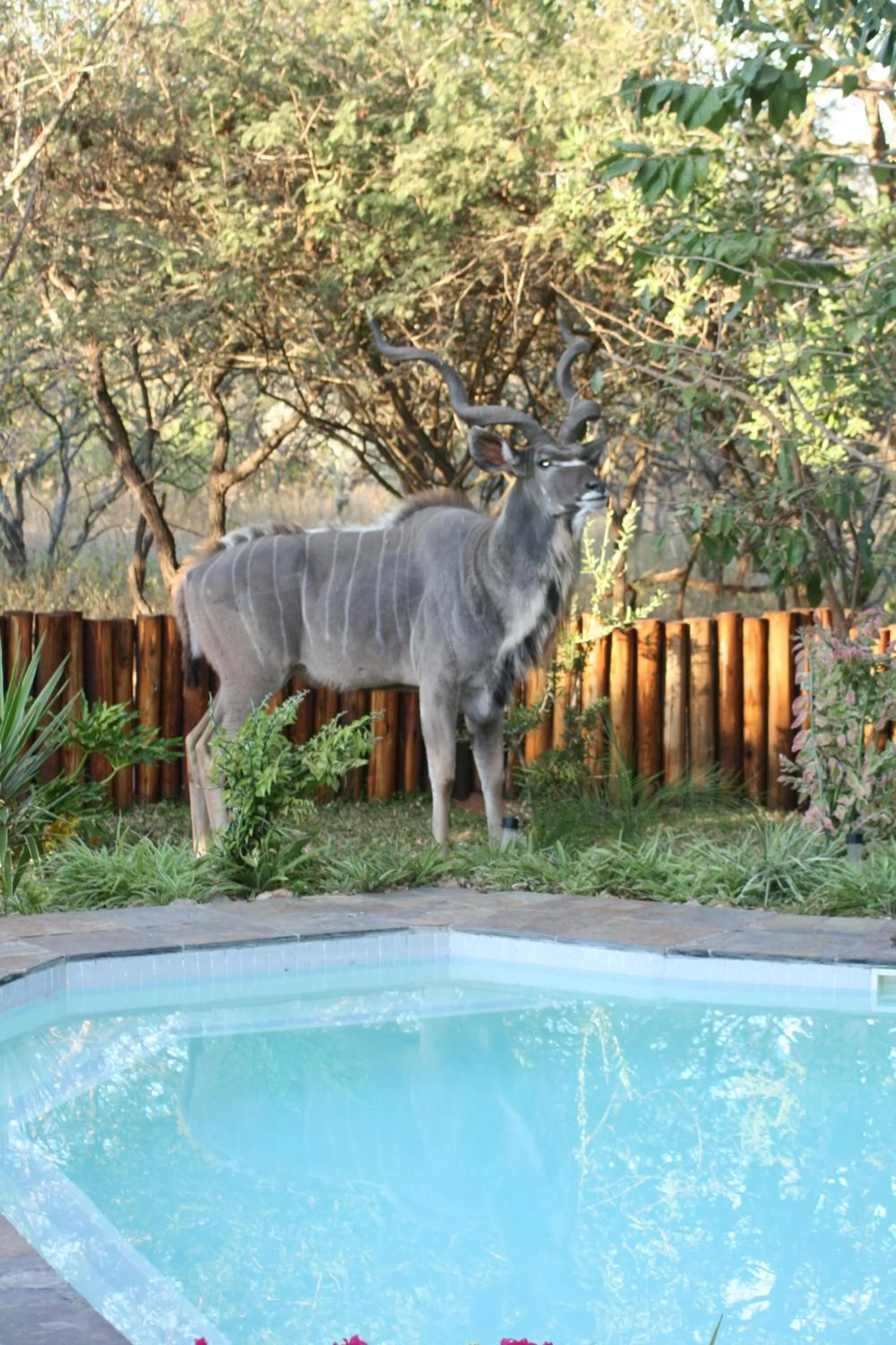 Facade/entrance in Needles Lodge