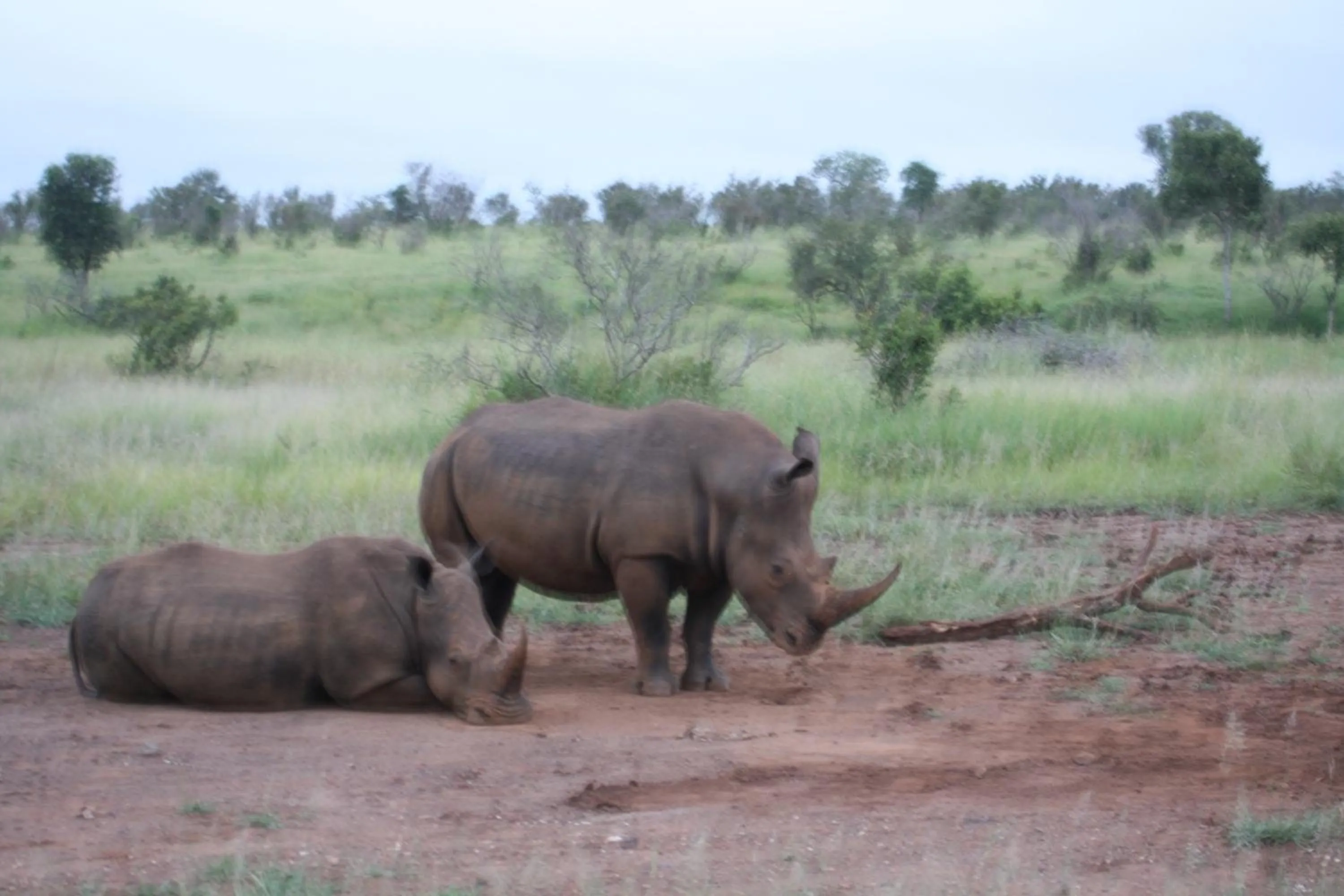 Area and facilities in Needles Lodge