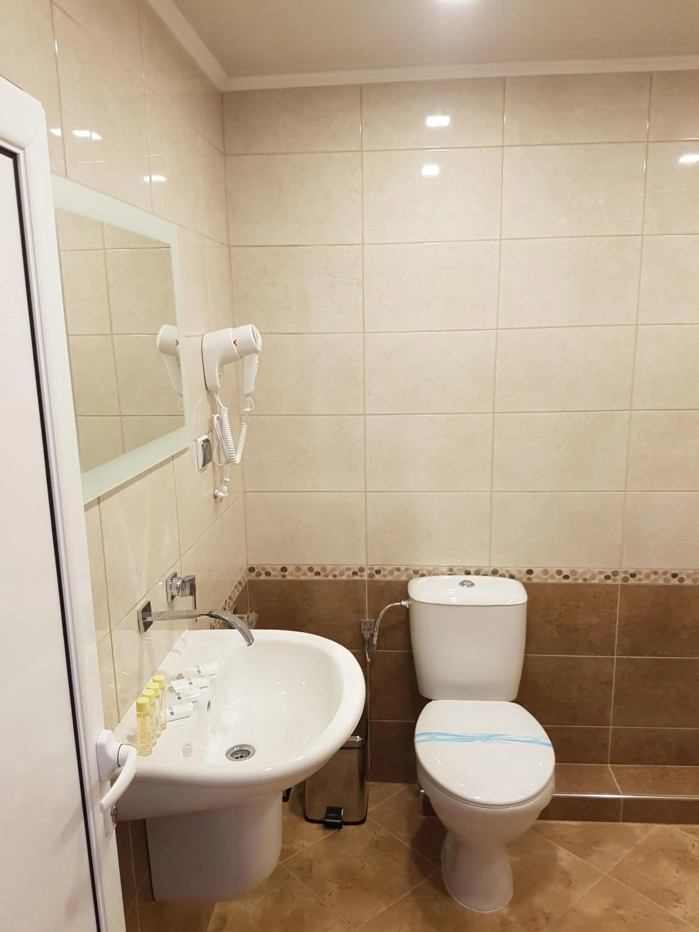 Toilet in Family Hotel Alfa Vita