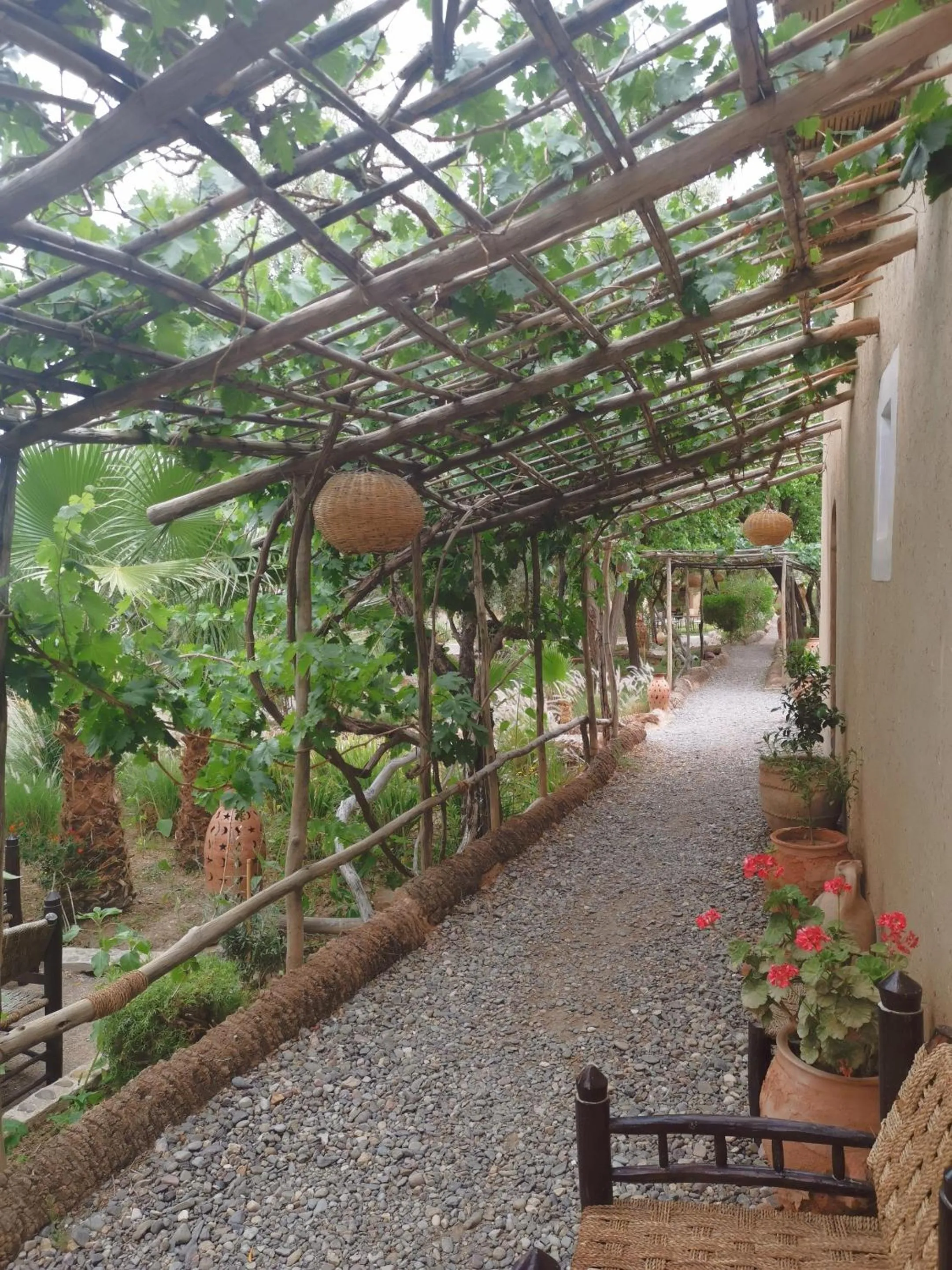 Garden in Les Jardins de Skoura