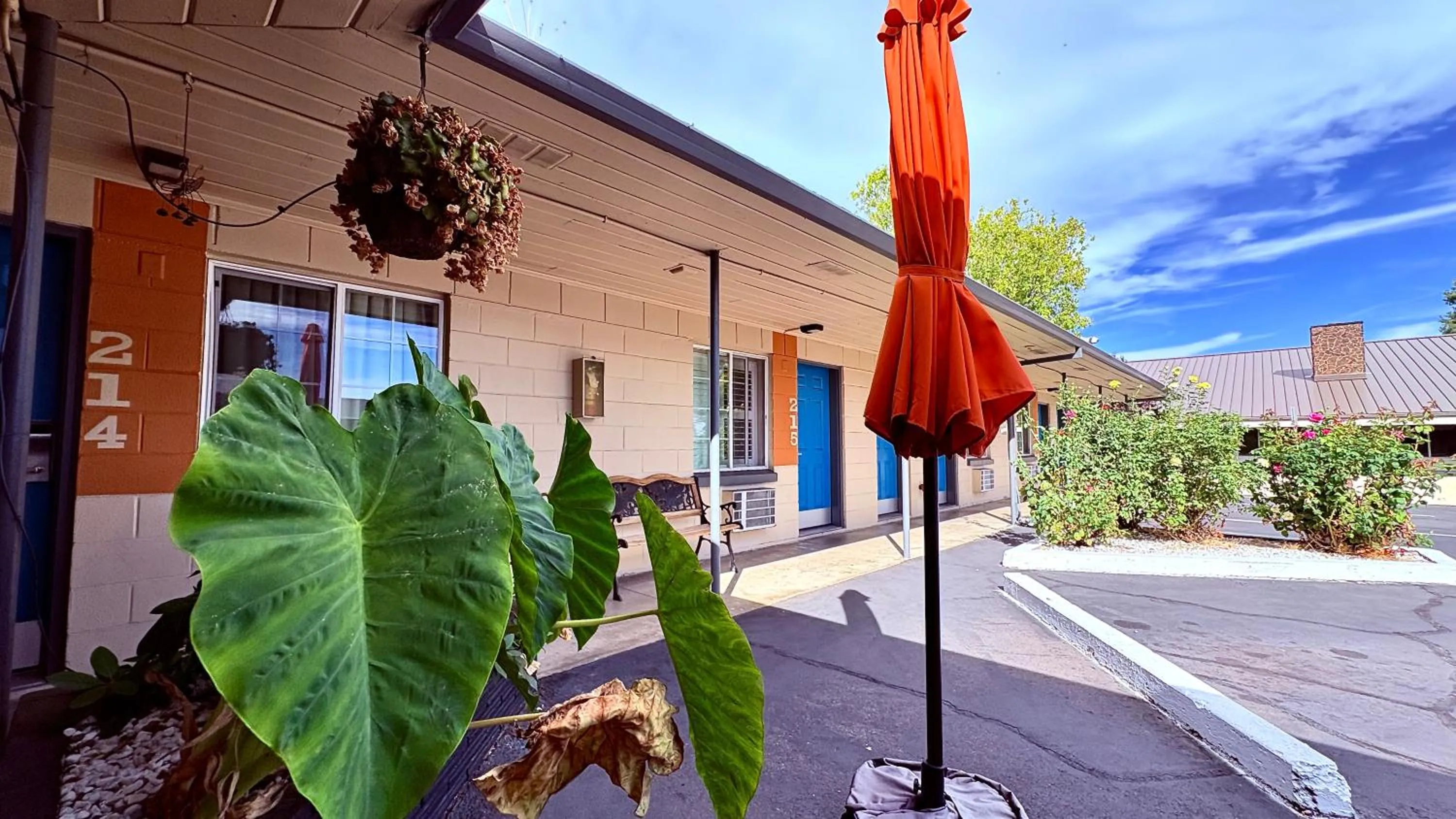 Garden in City Center Motel - Downtown Medford