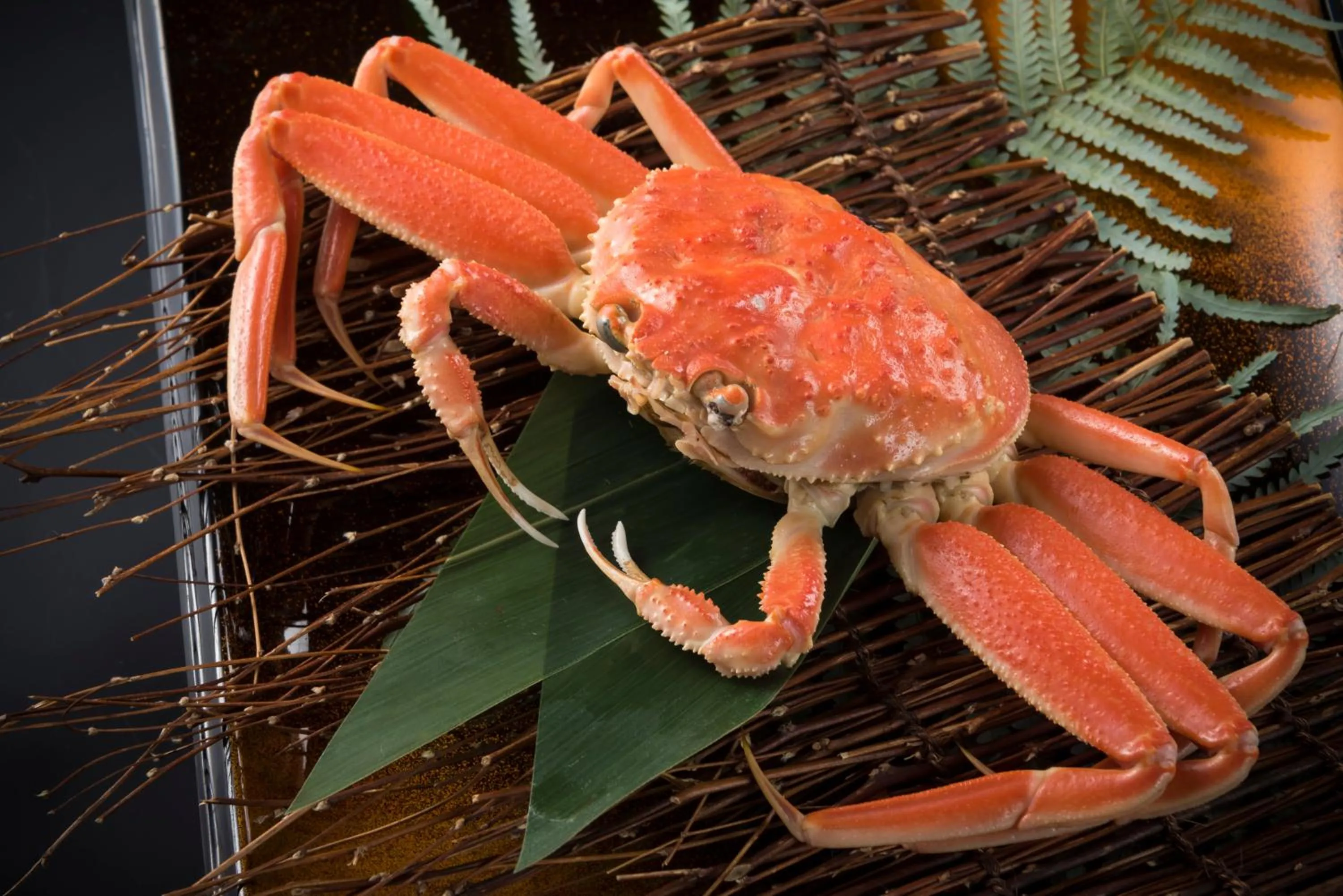 Dinner in Mikuni Ocean Resort&Hotel