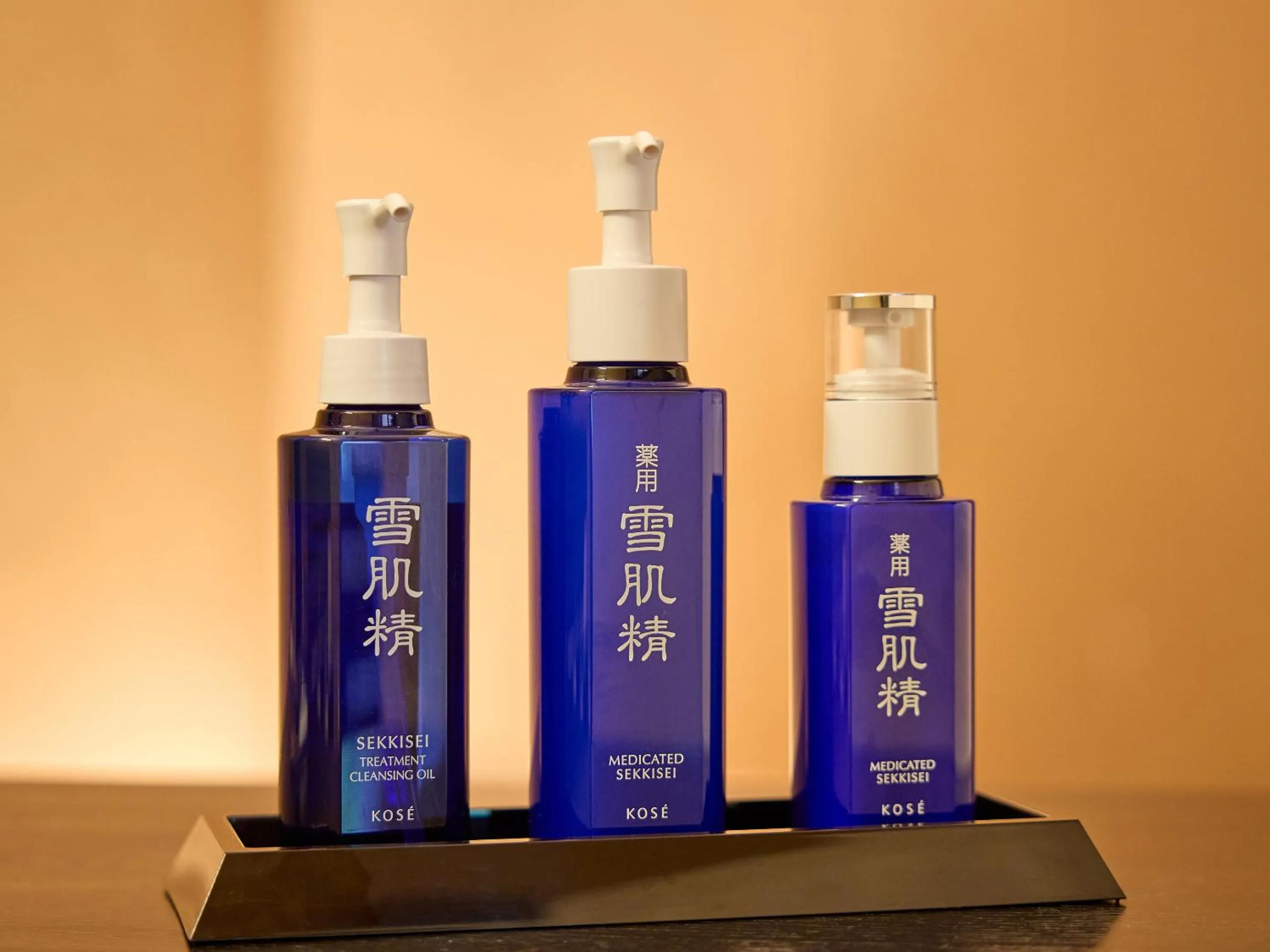 Area and facilities in Seikansou