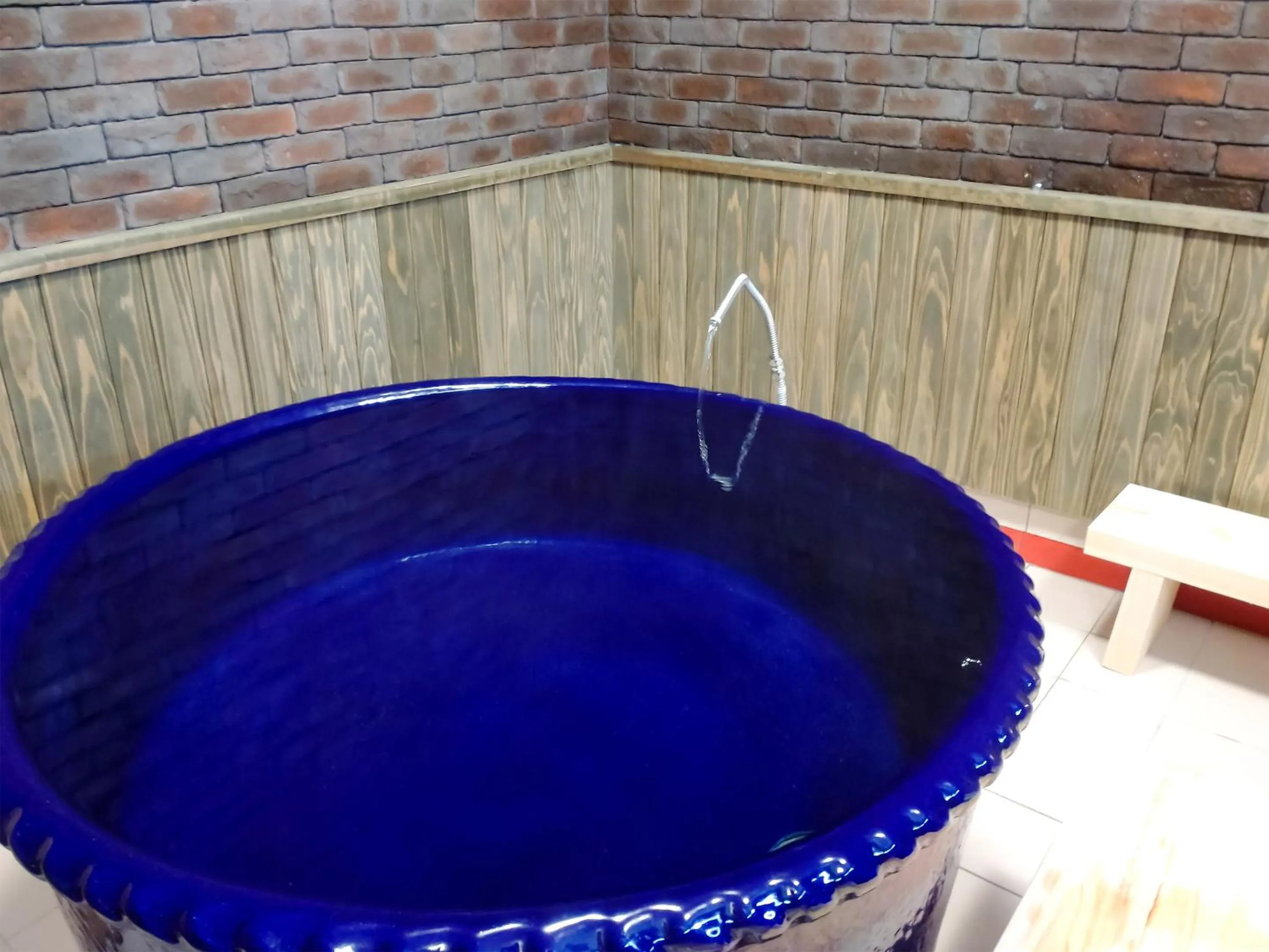 Hot Spring Bath in WEST in