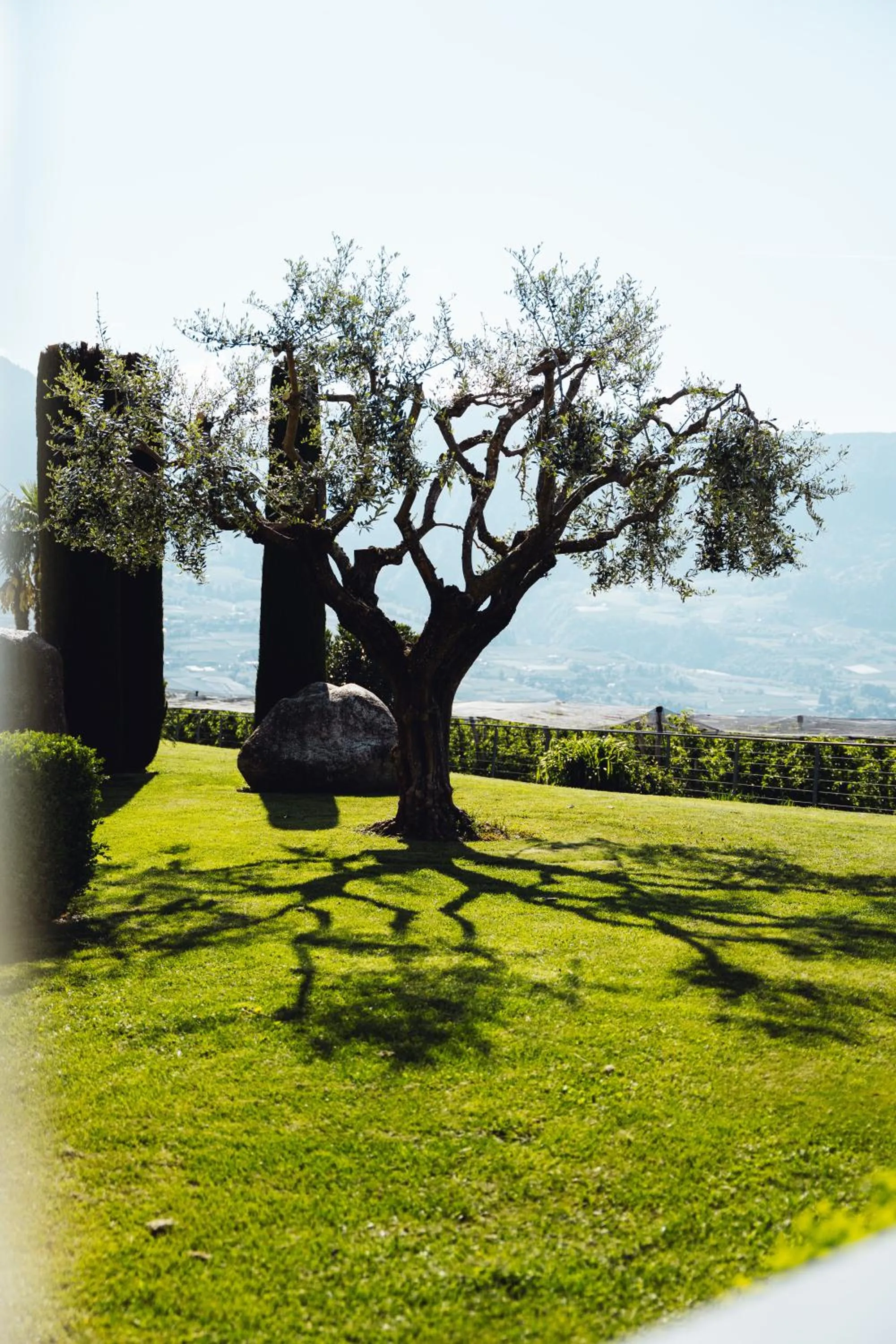 View (from property/room) in Appartement-Hotel Beatenhof