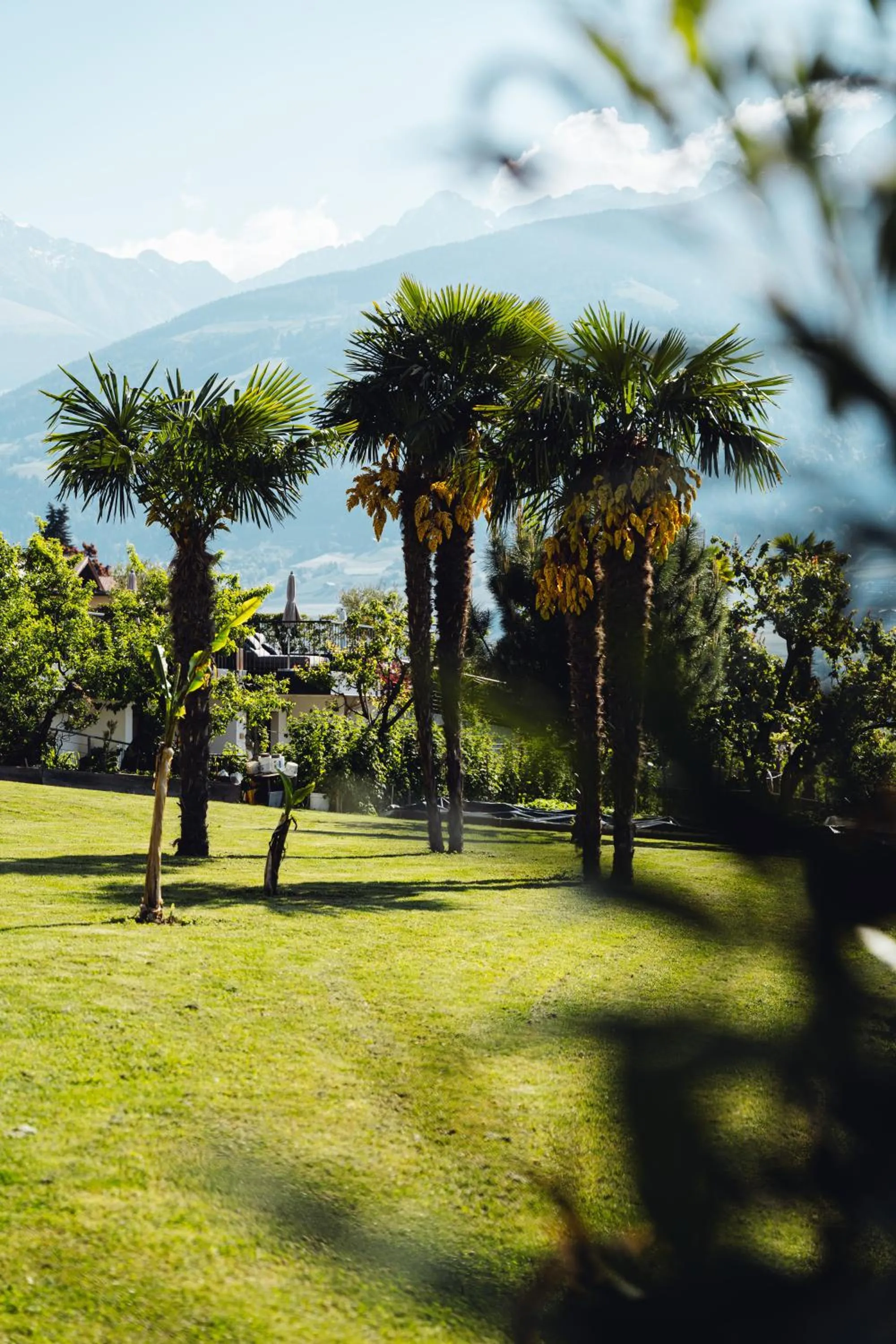 Garden view in Appartement-Hotel Beatenhof