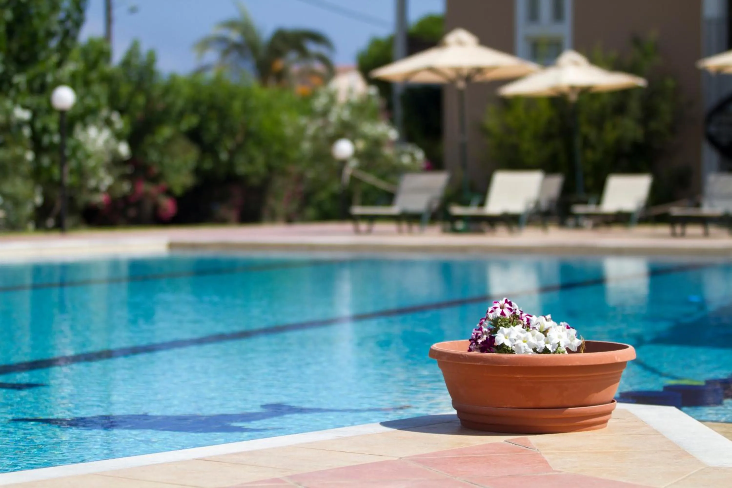 Swimming pool in Hotel Peli