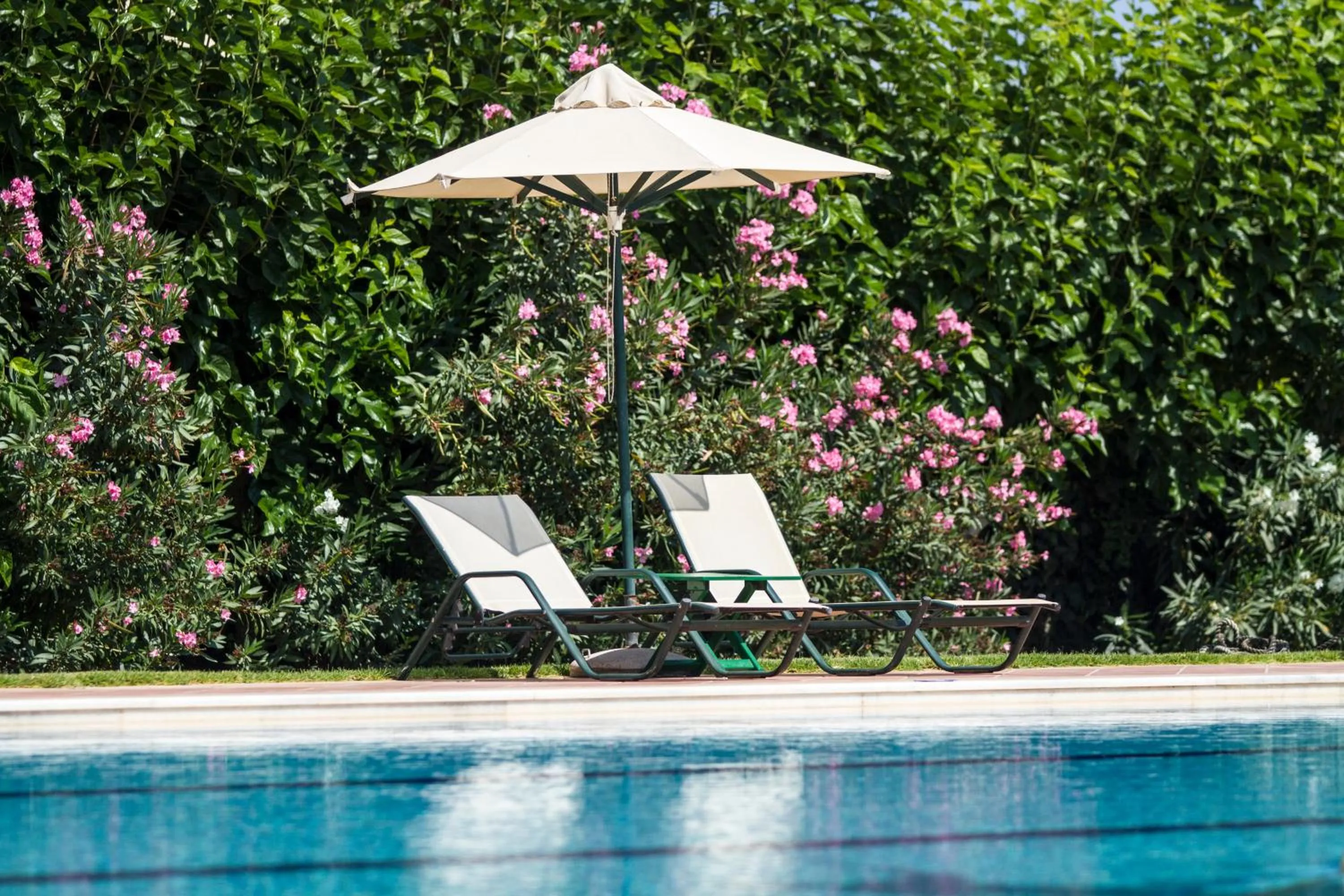 Swimming pool in Hotel Peli