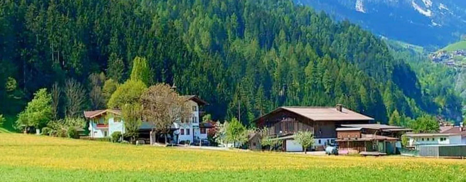 Hotel Gasthof Stoanerhof