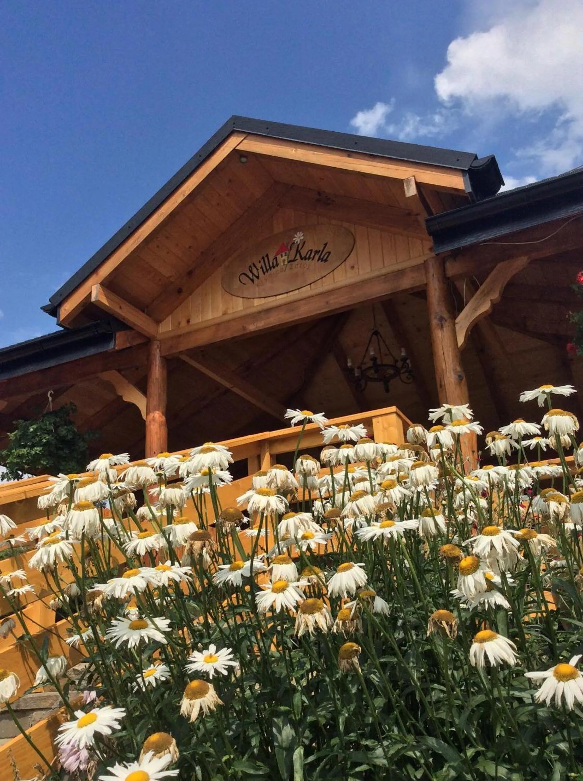 Summer in Willa Karla