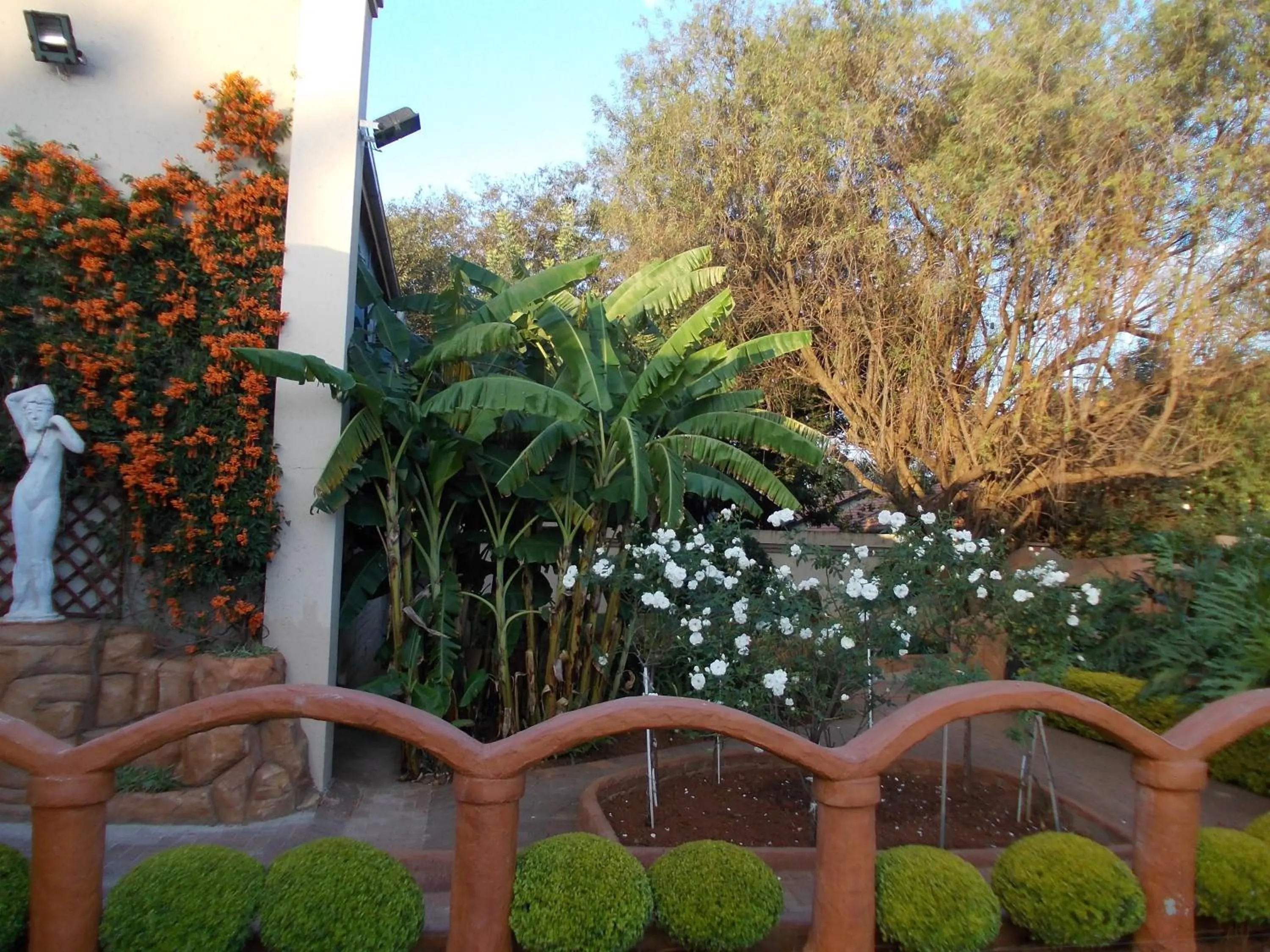 Garden in Homestay Travel Guest House