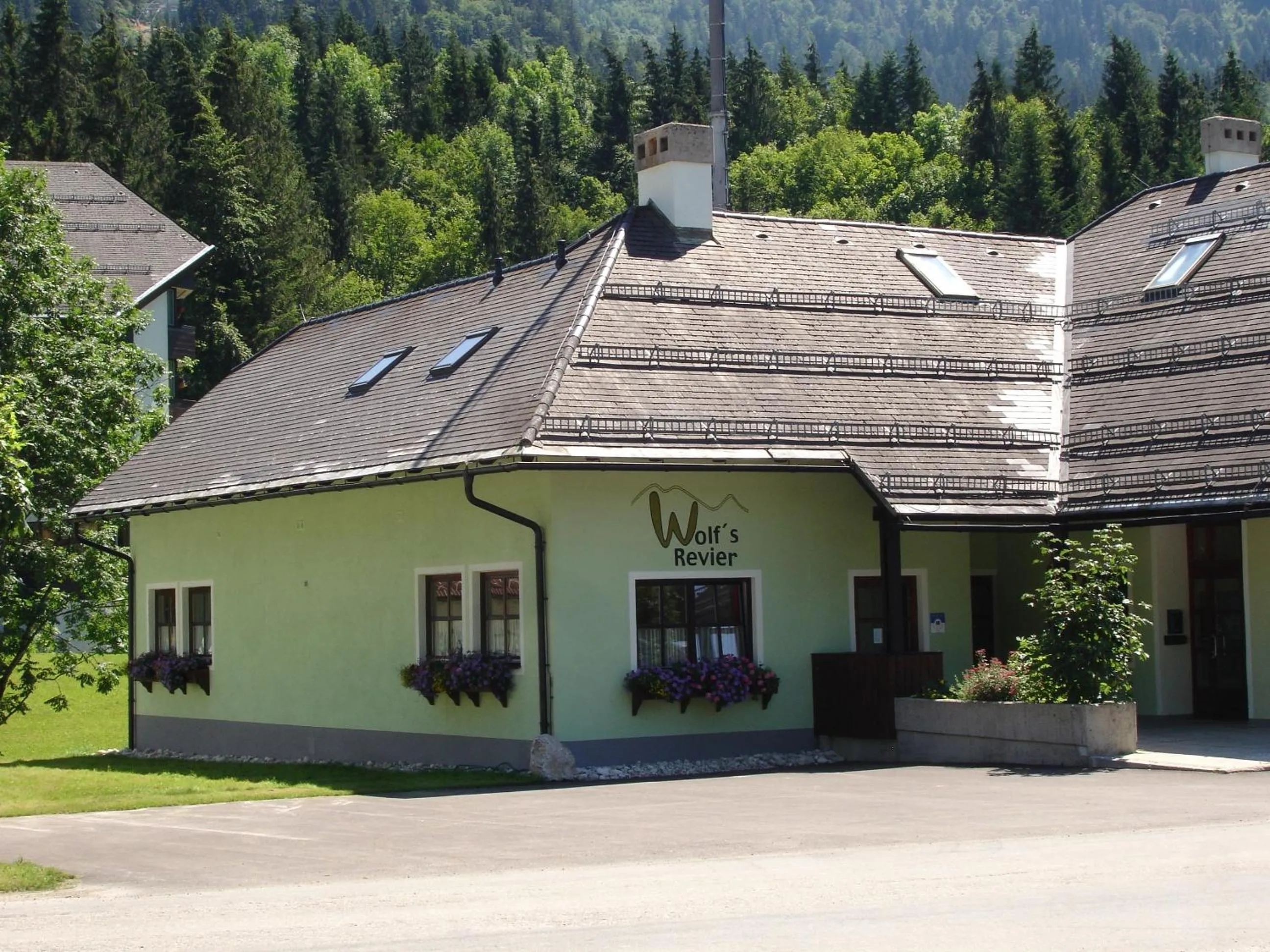 Wolfs Revier