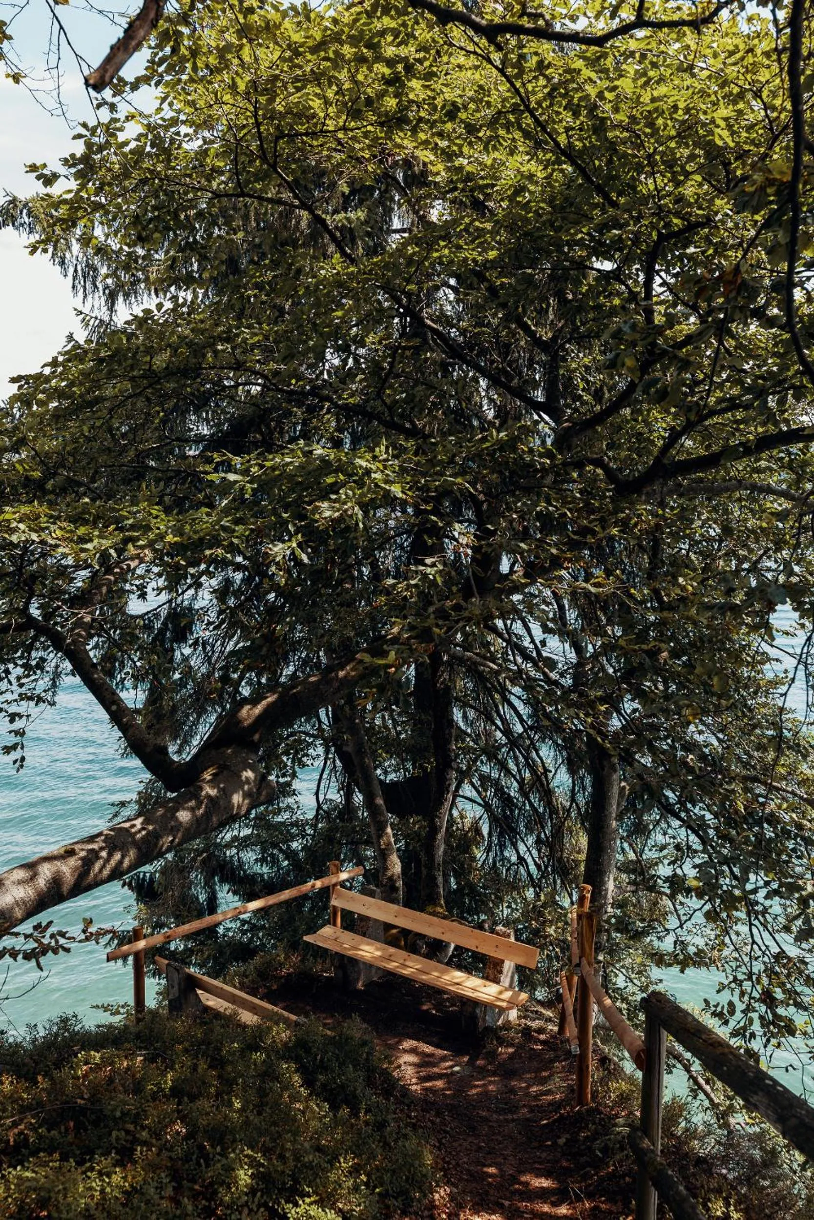 Natural landscape in Lake Villa Lotus