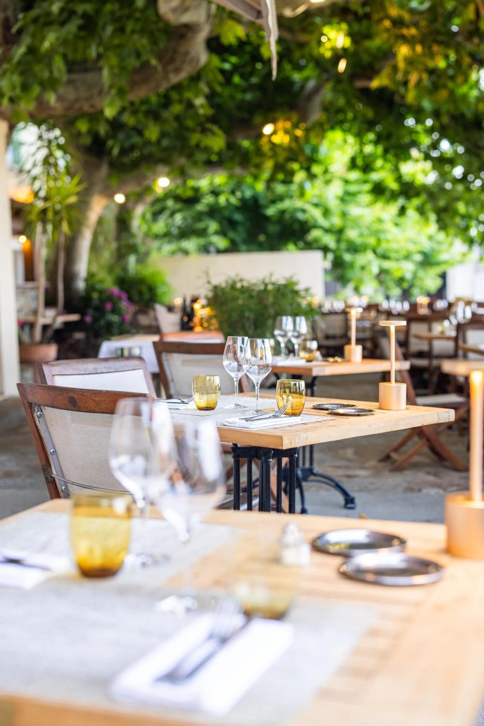 Restaurant/places to eat in Hôtel Restaurant la Corniche