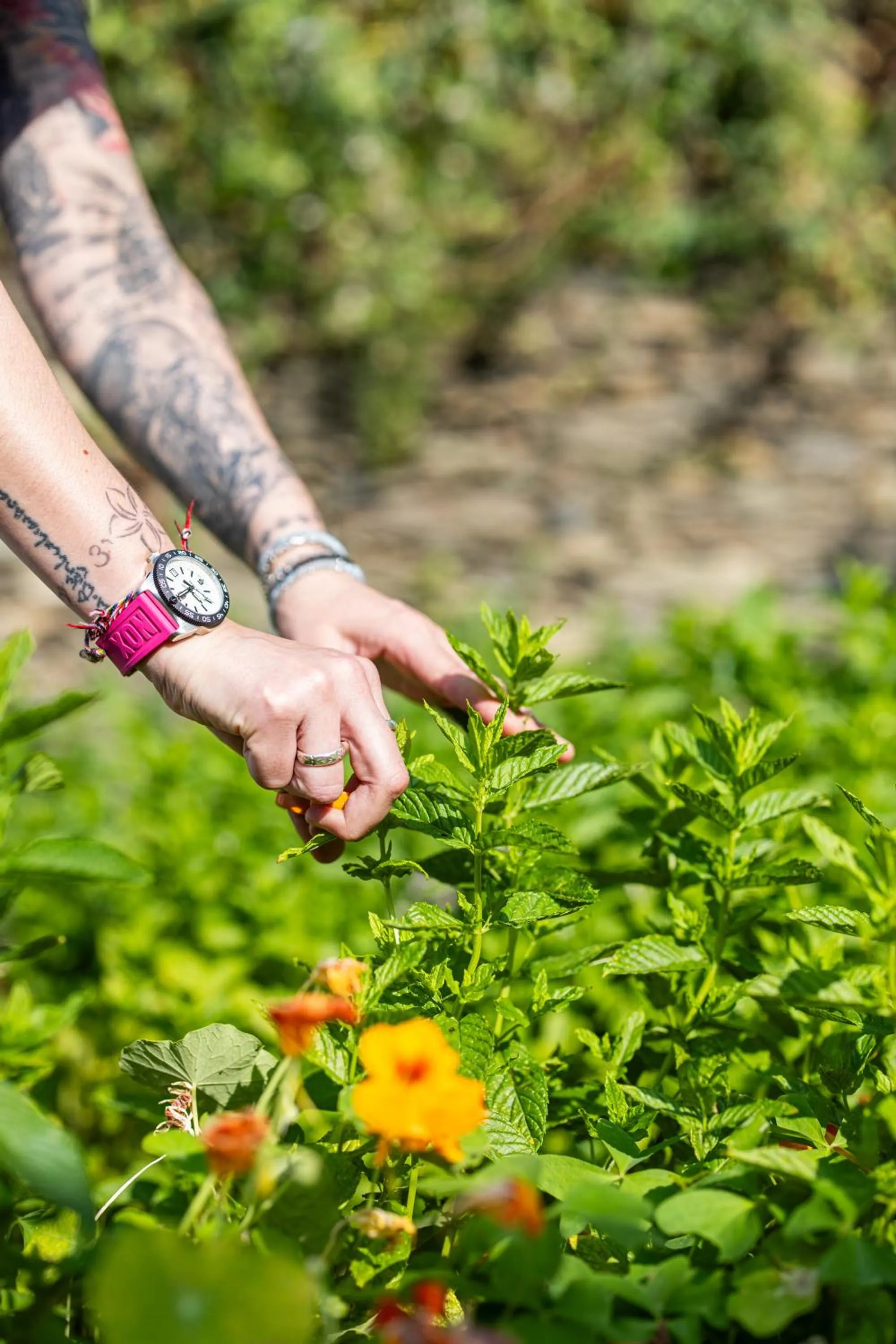 Spring in Hôtel Restaurant la Corniche