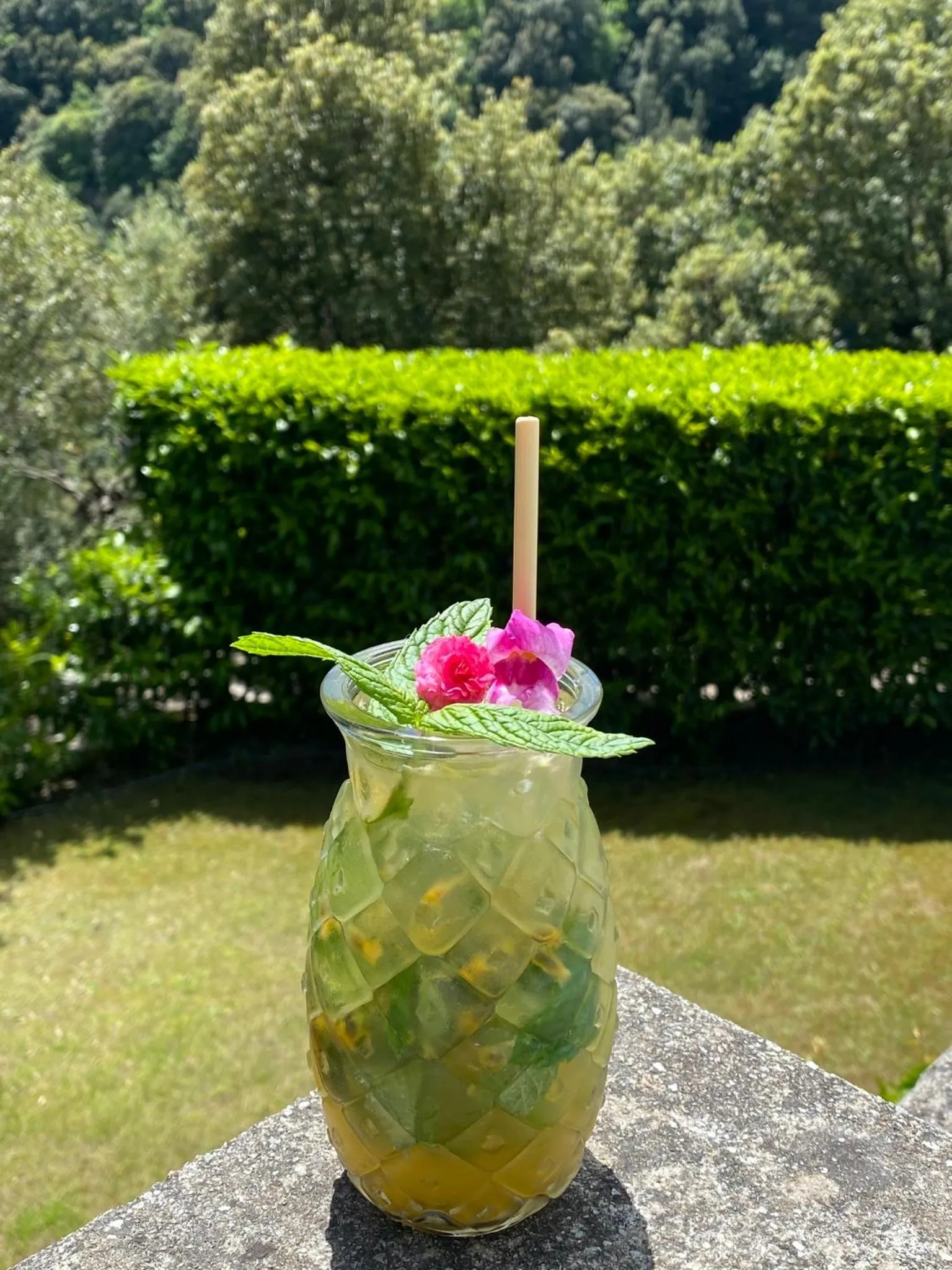 Garden in Hôtel Restaurant la Corniche