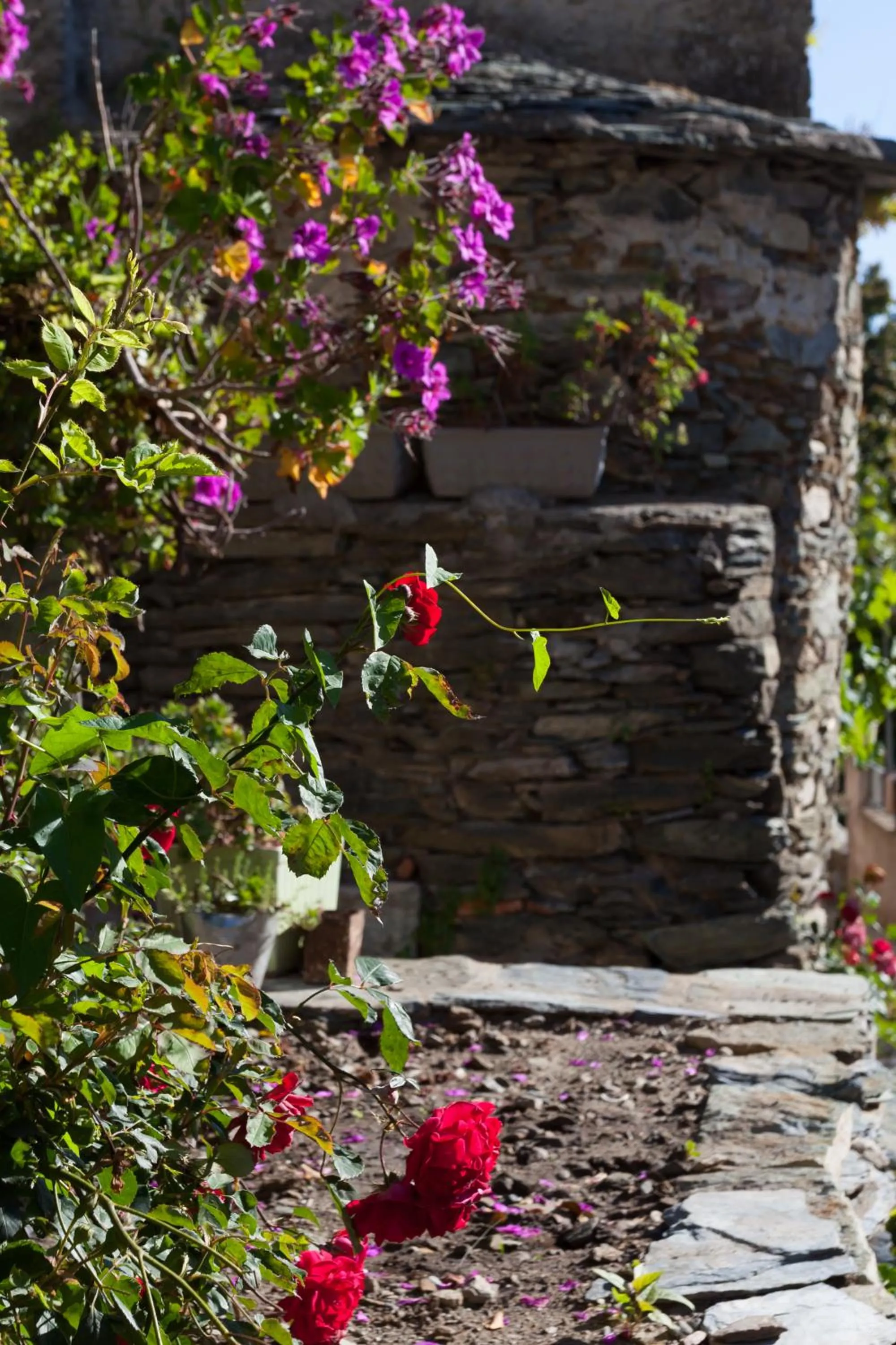 Neighbourhood in Hôtel Restaurant la Corniche