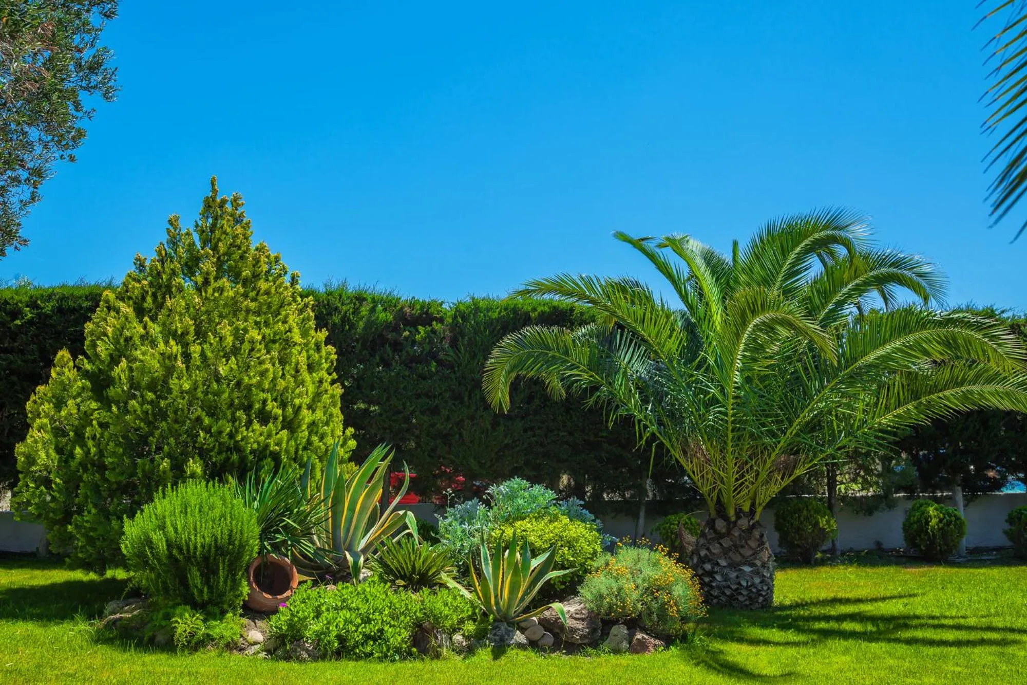 Garden in Anna Hotel