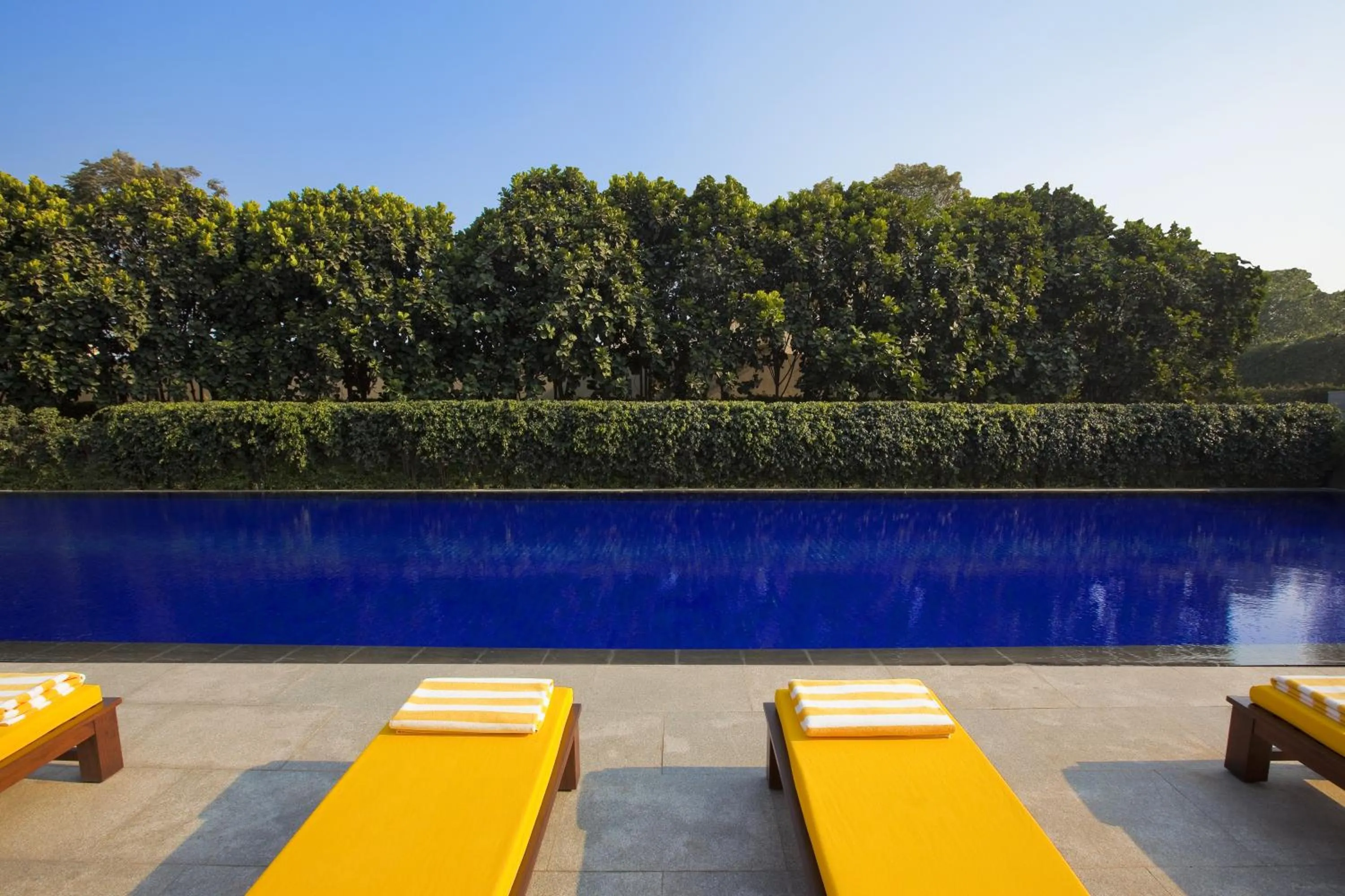 Swimming pool in The Oberoi Gurgaon