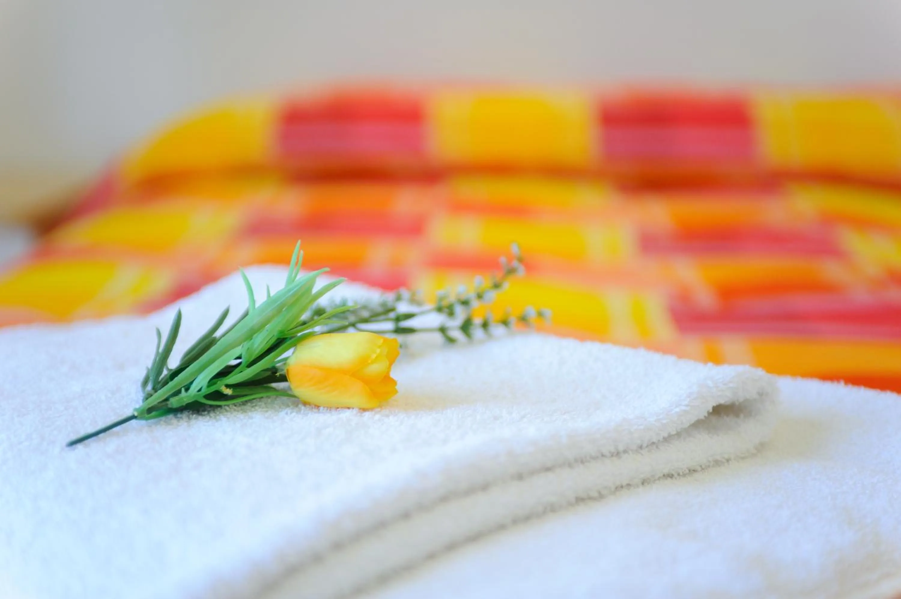 Decorative detail, Bed in Hotel Petrarca