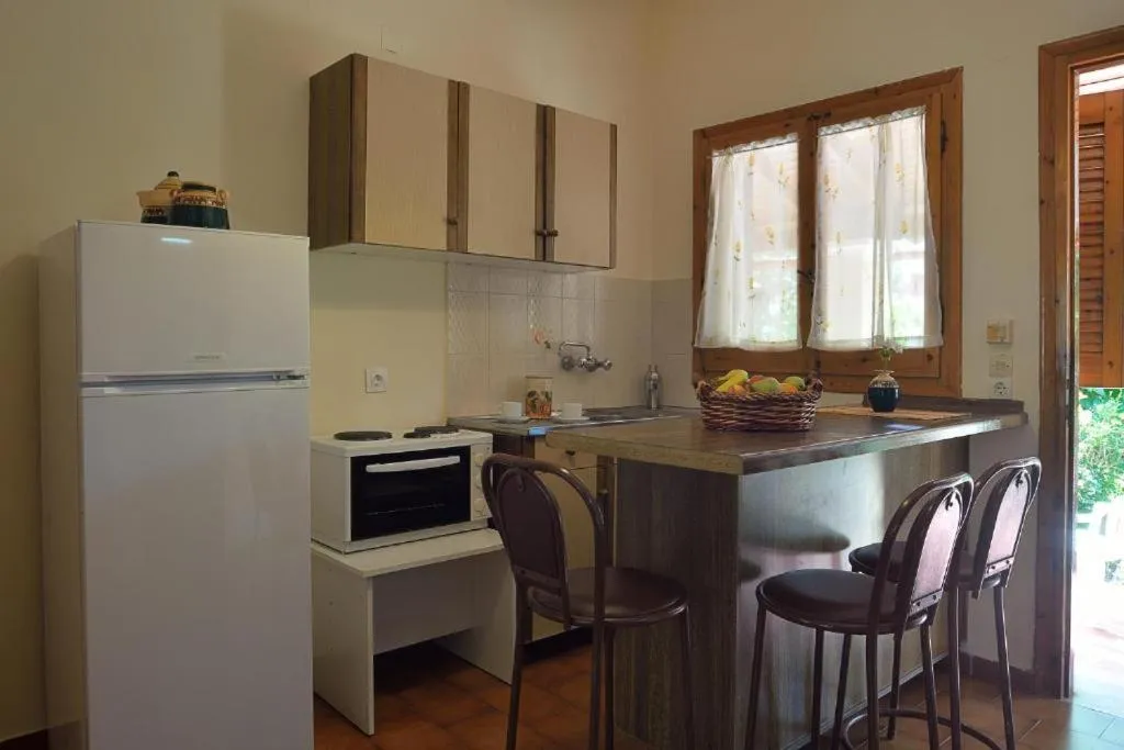 Kitchen or kitchenette in Feeloxenia Corfu Apartments