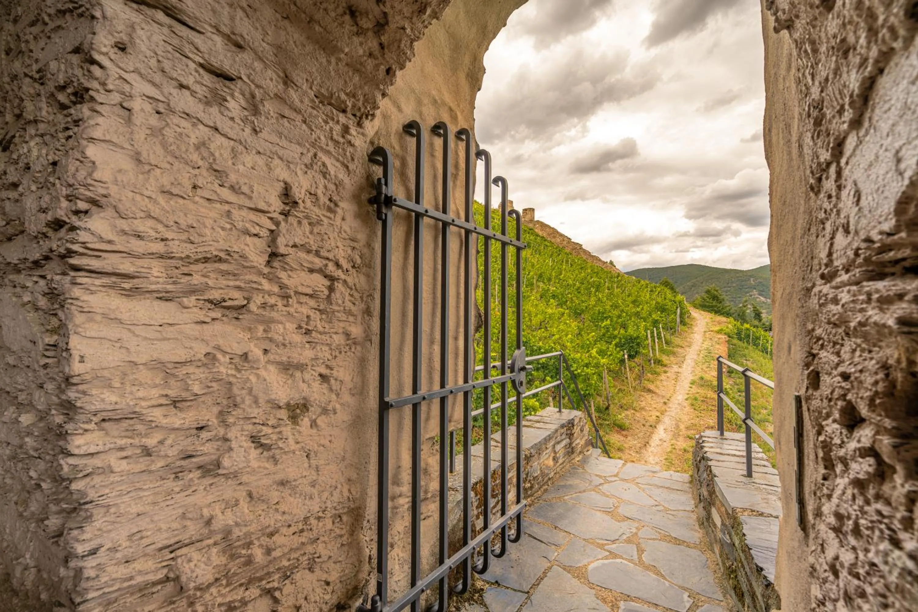 Activities in Altkölnischer Hof