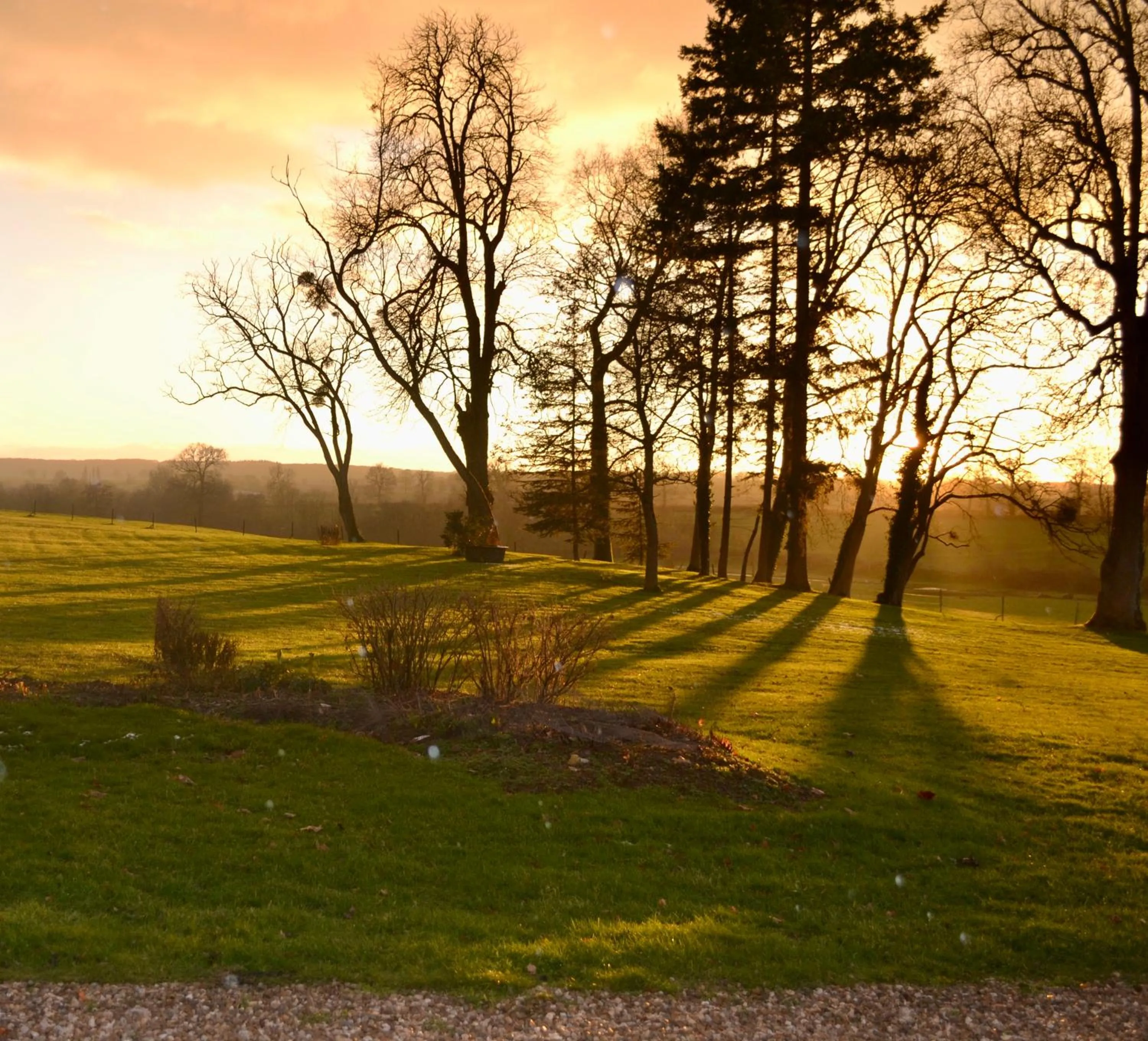 Garden in Château de SURY