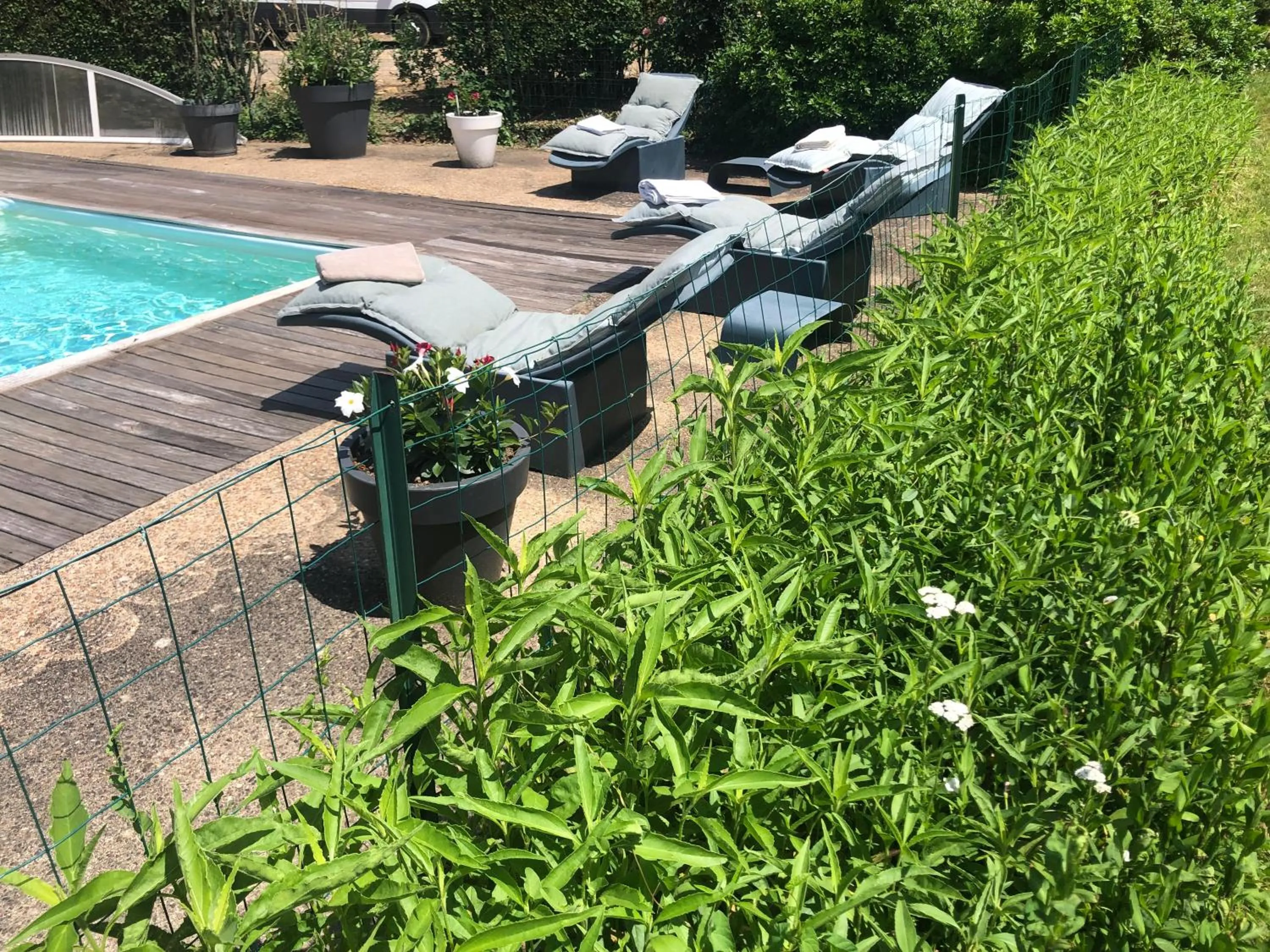Swimming pool in Château de SURY