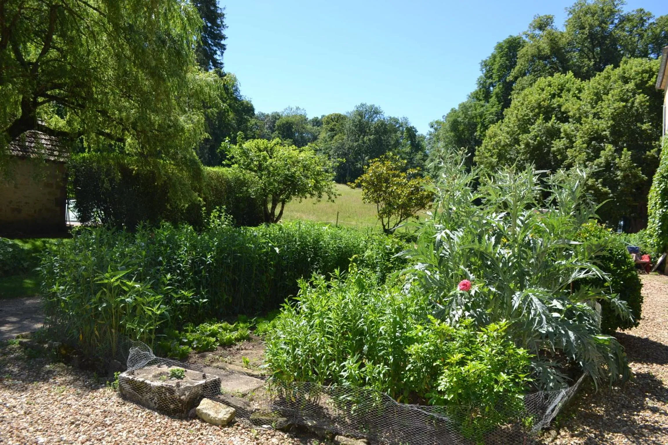 Garden in Château de SURY