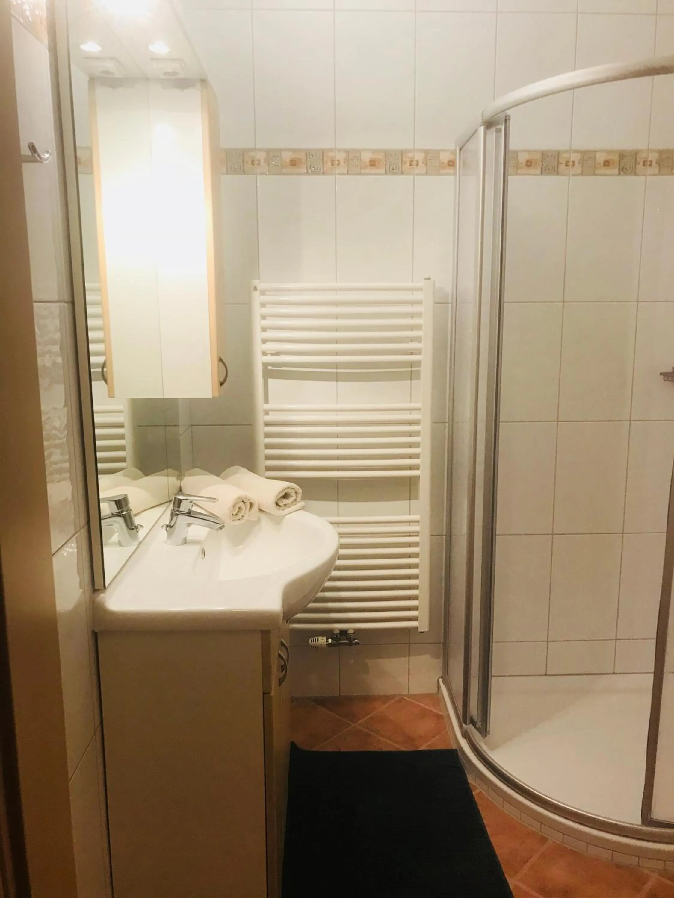 Bathroom in Apartment Sonnblick