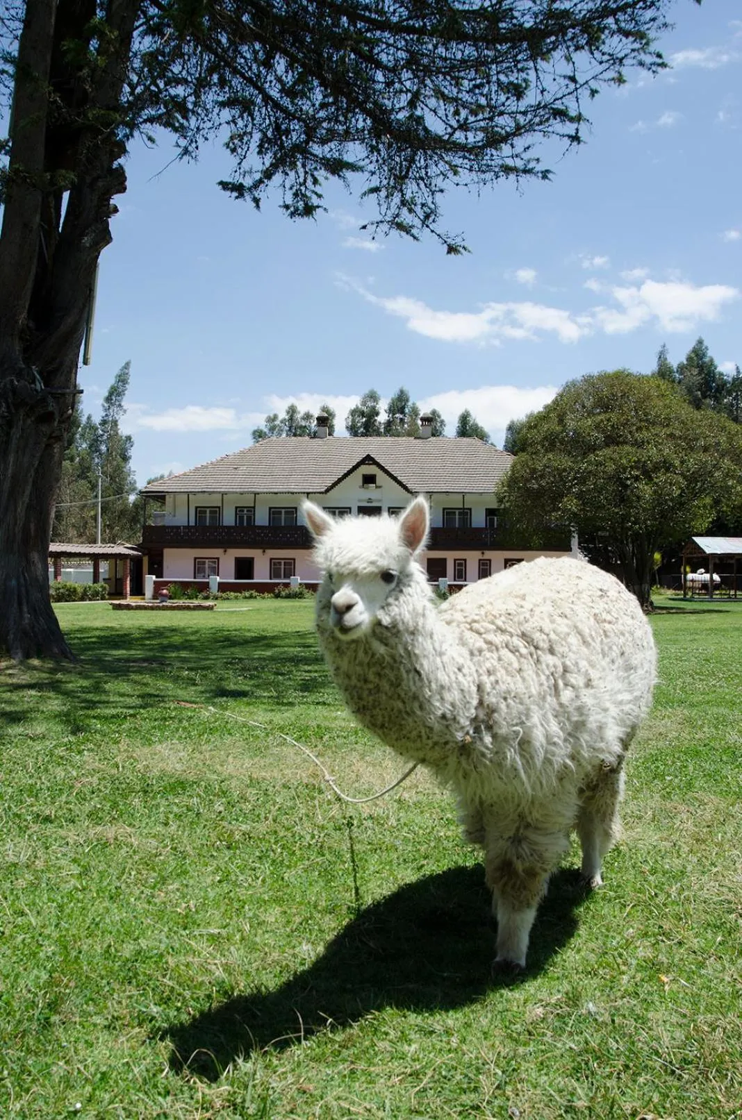 Natural landscape in Centro Vacacional Huaychulo