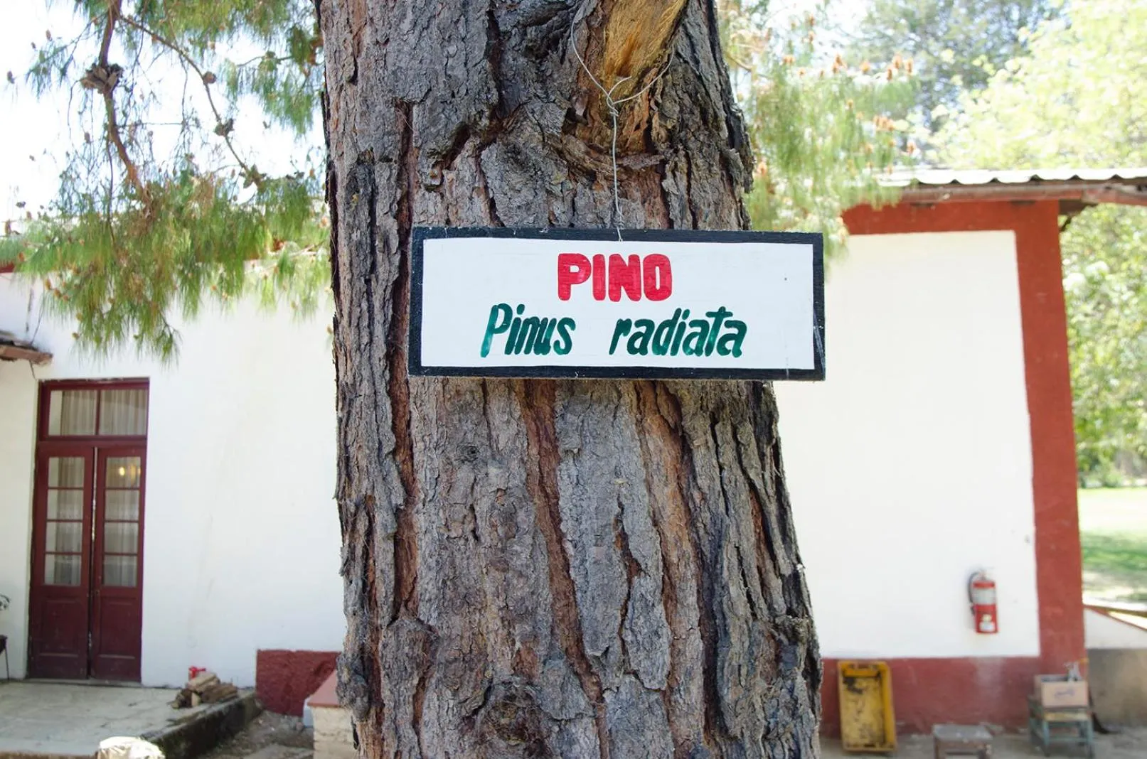 Garden in Centro Vacacional Huaychulo