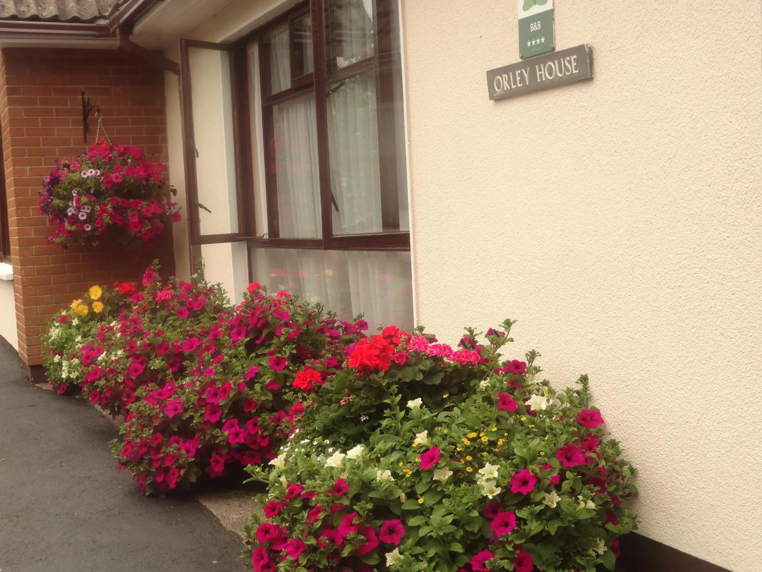Decorative detail in Orley House B&B
