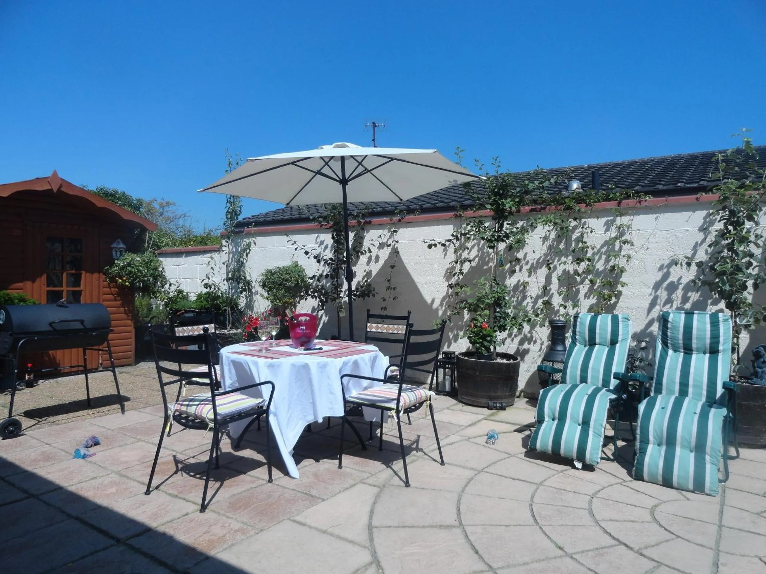 Garden in Orley House B&B