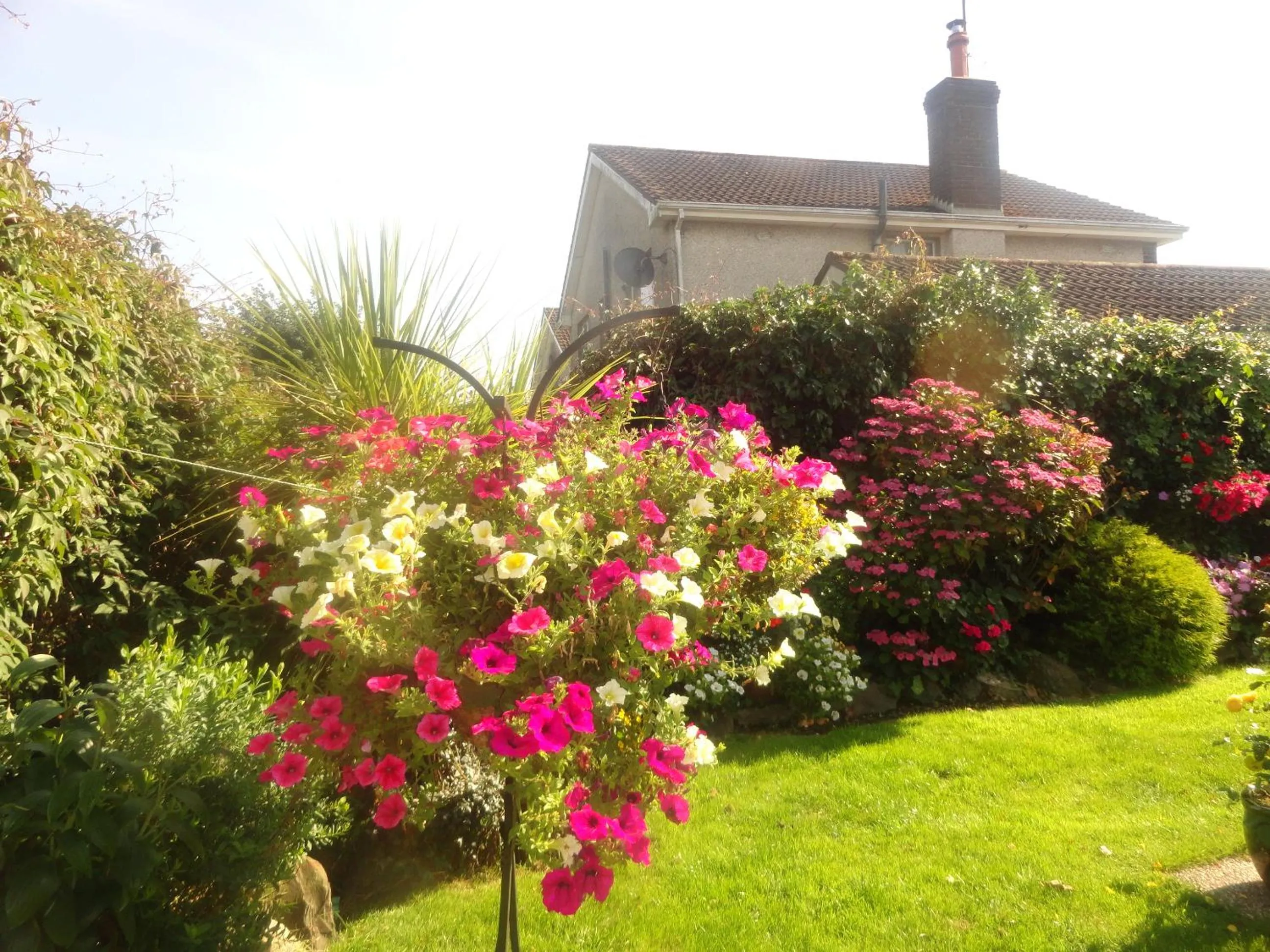 Garden in Orley House B&B