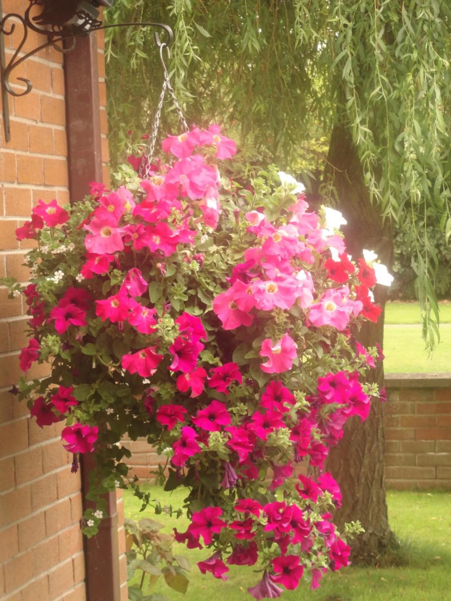 Decorative detail in Orley House B&B