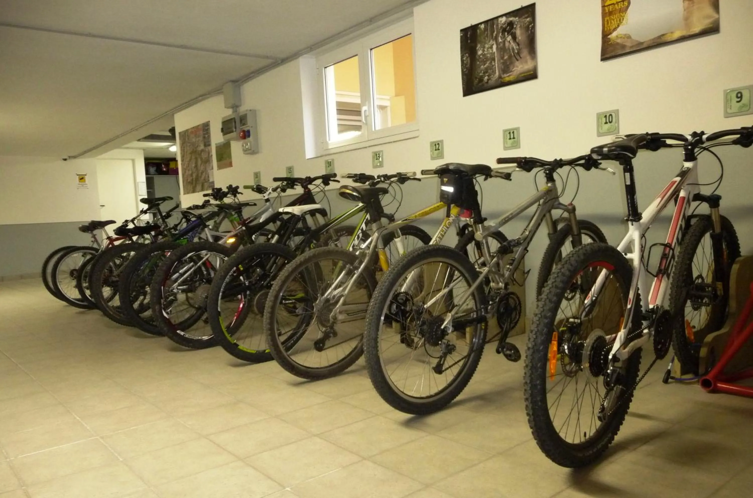 Area and facilities in Chalet Mottolino