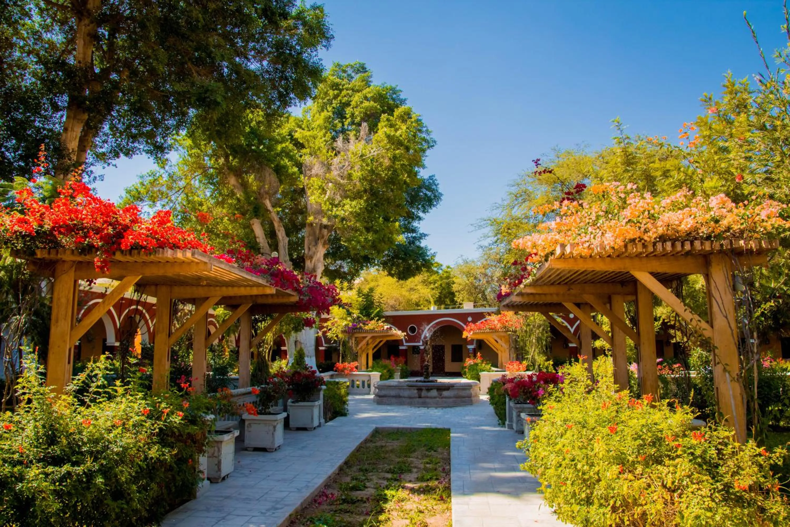 Garden in DM Hoteles Mossone - Ica