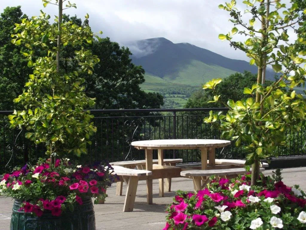 View (from property/room) in Aherlow House Hotel & Lodges