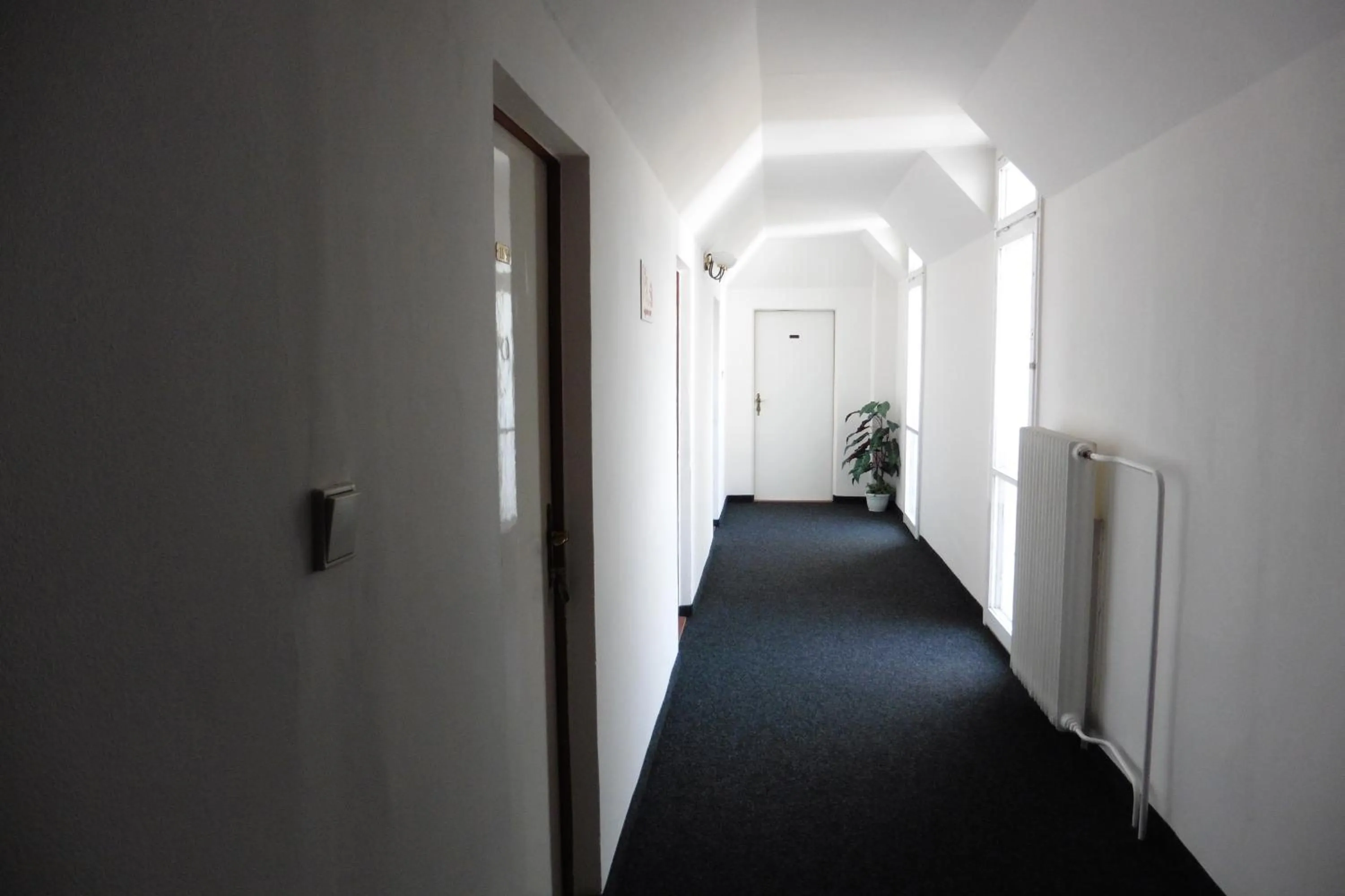 Area and facilities in Hotel Labe