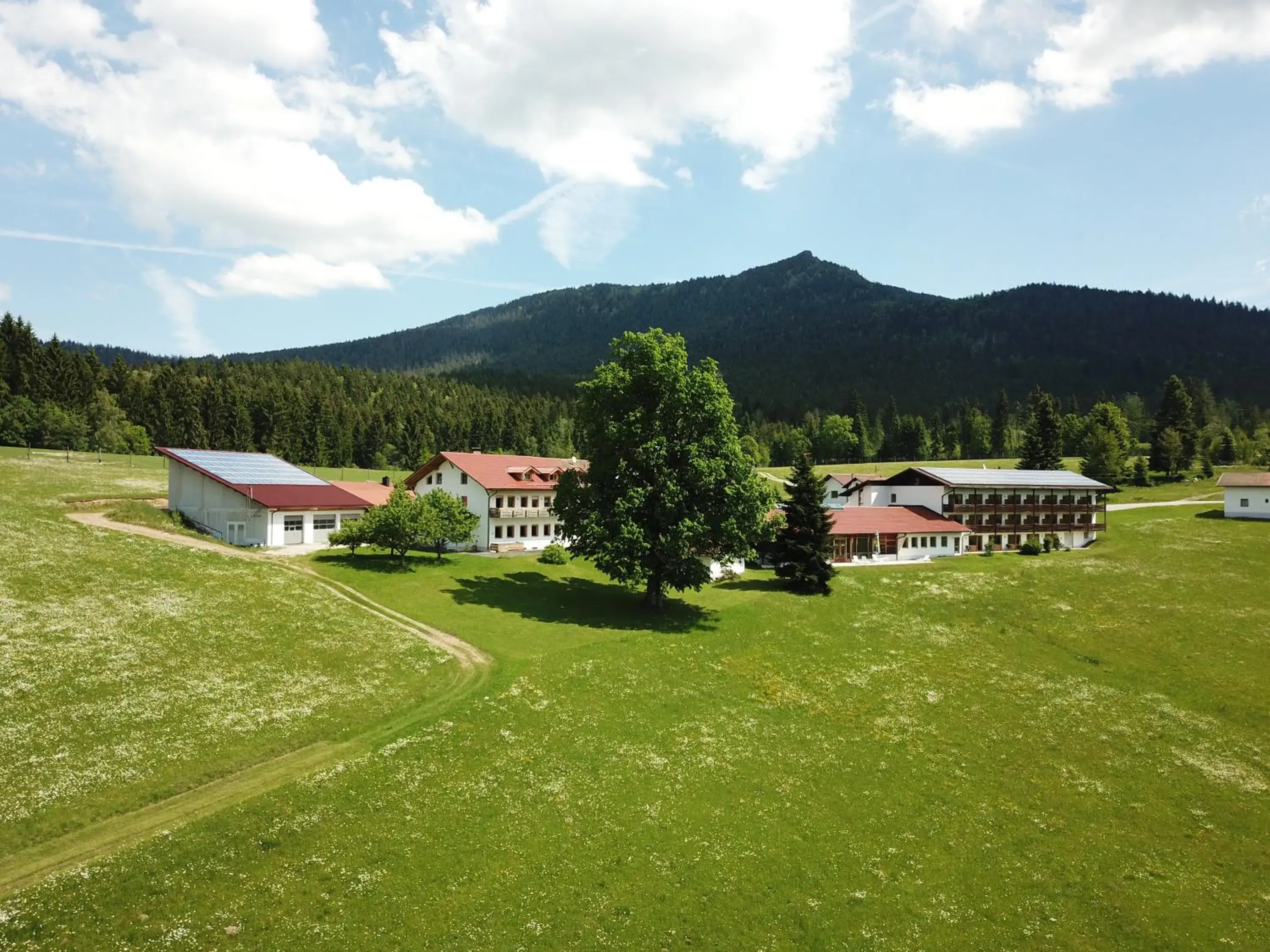 Osserhotel - B&B am Osser Osserhotel - B&B am Osser