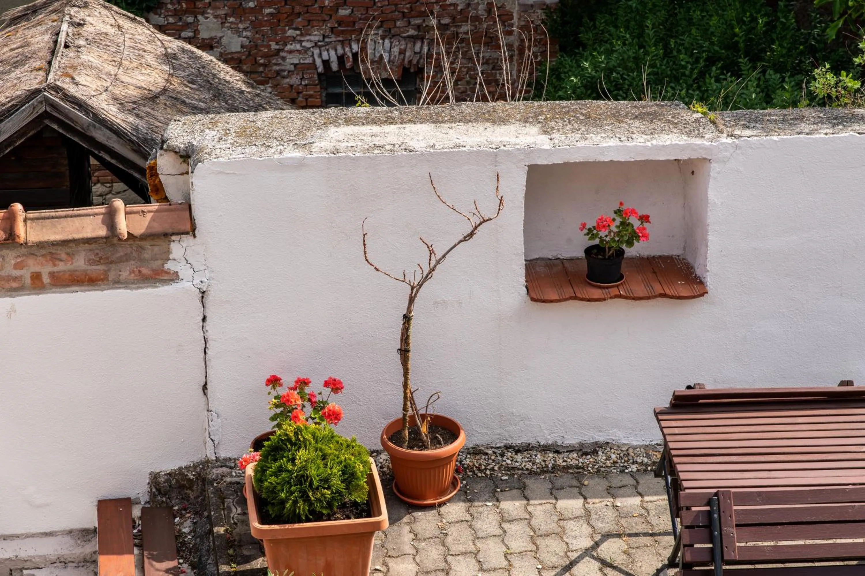 Property building in Fényes Vinorium