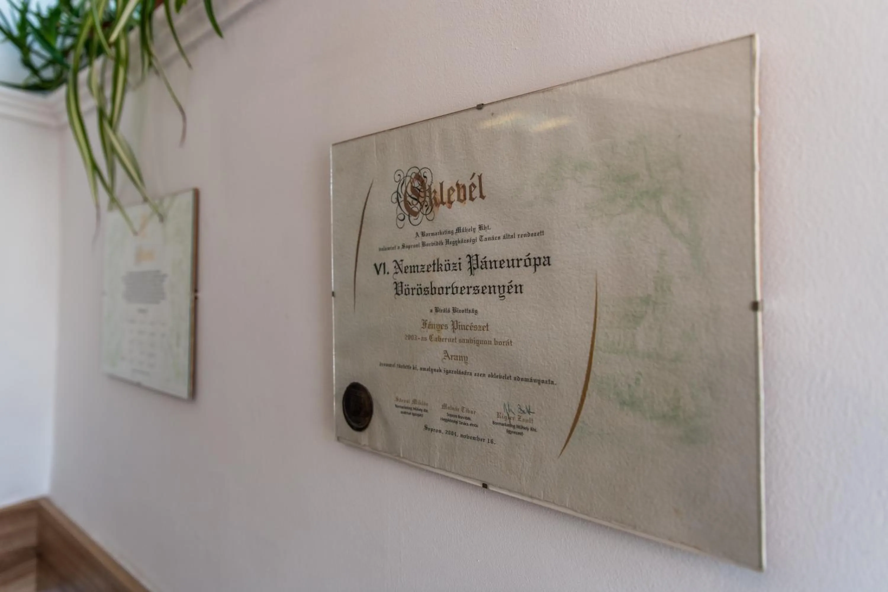 Property building in Fényes Vinorium