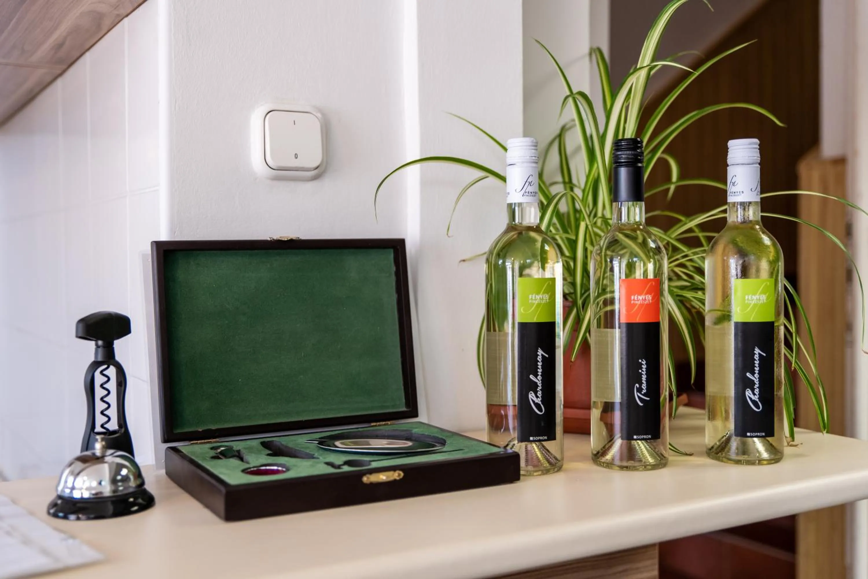 Property building in Fényes Vinorium