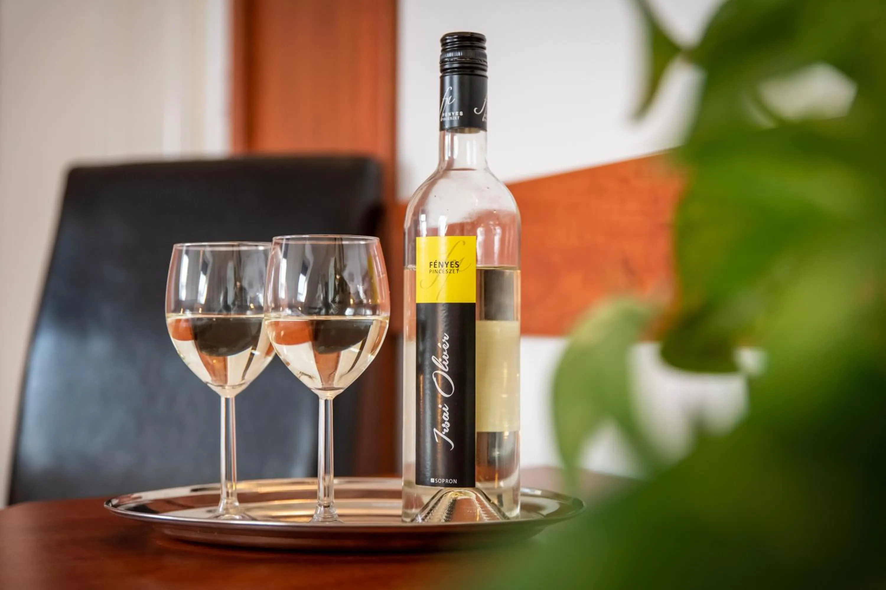 Property building in Fényes Vinorium