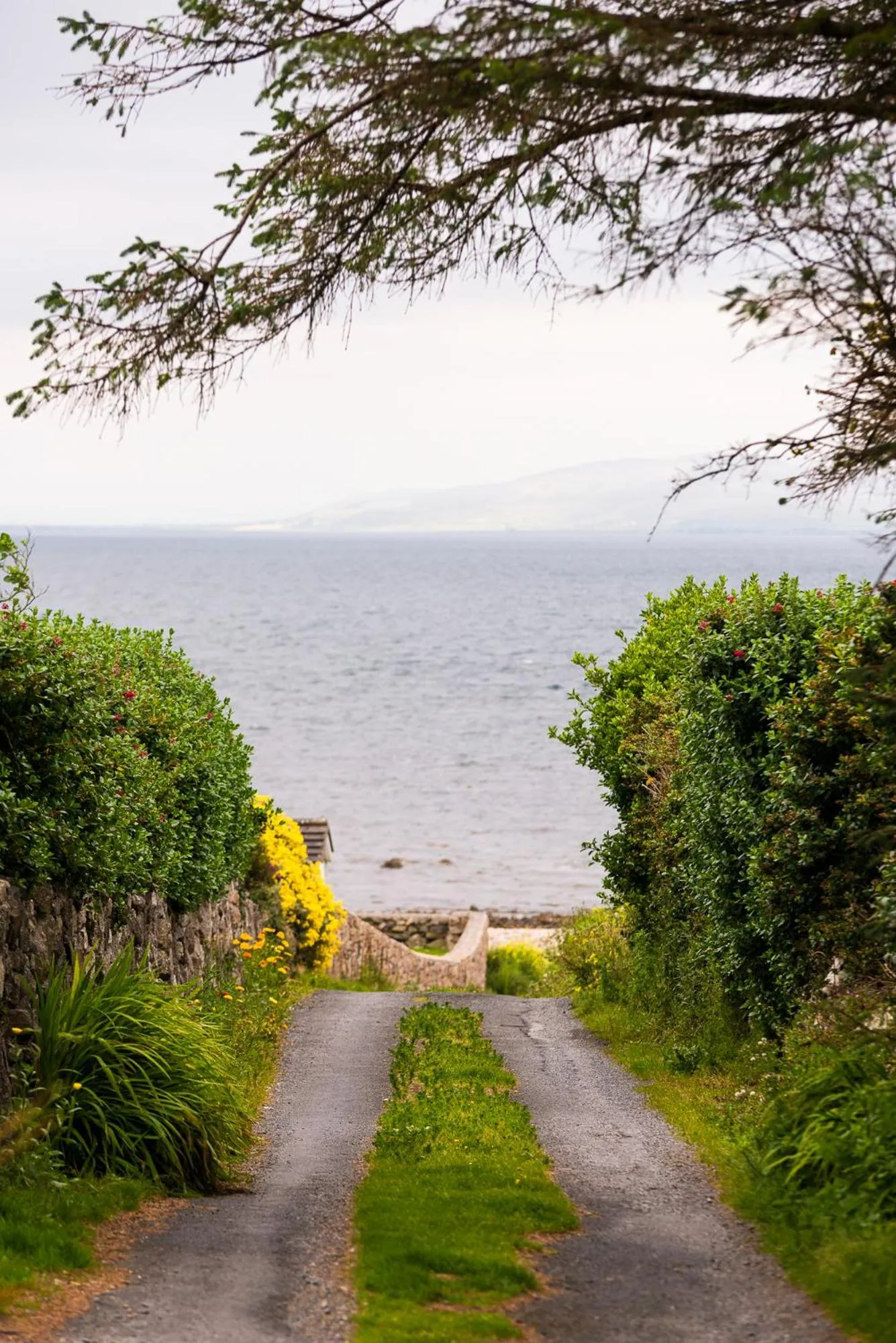 Natural landscape in The Twelve Hotel