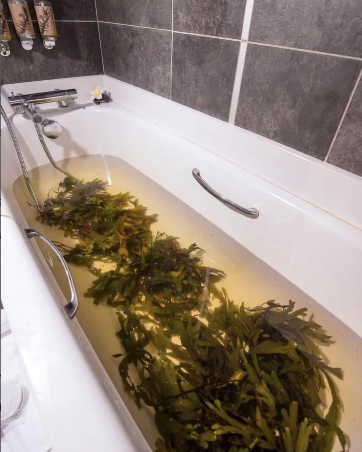 Spa and wellness centre/facilities in The Twelve Hotel